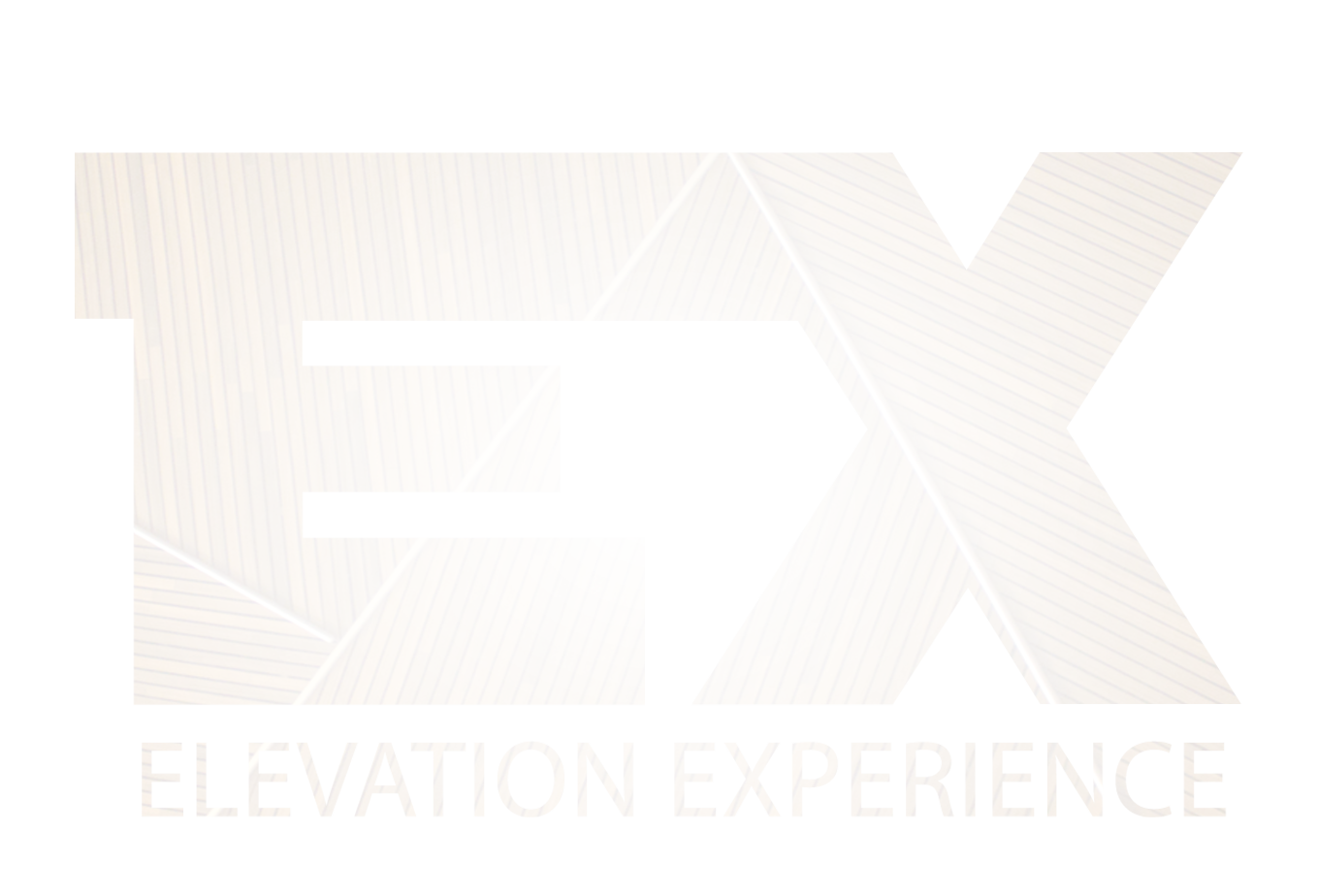 Elevation Experience Logo