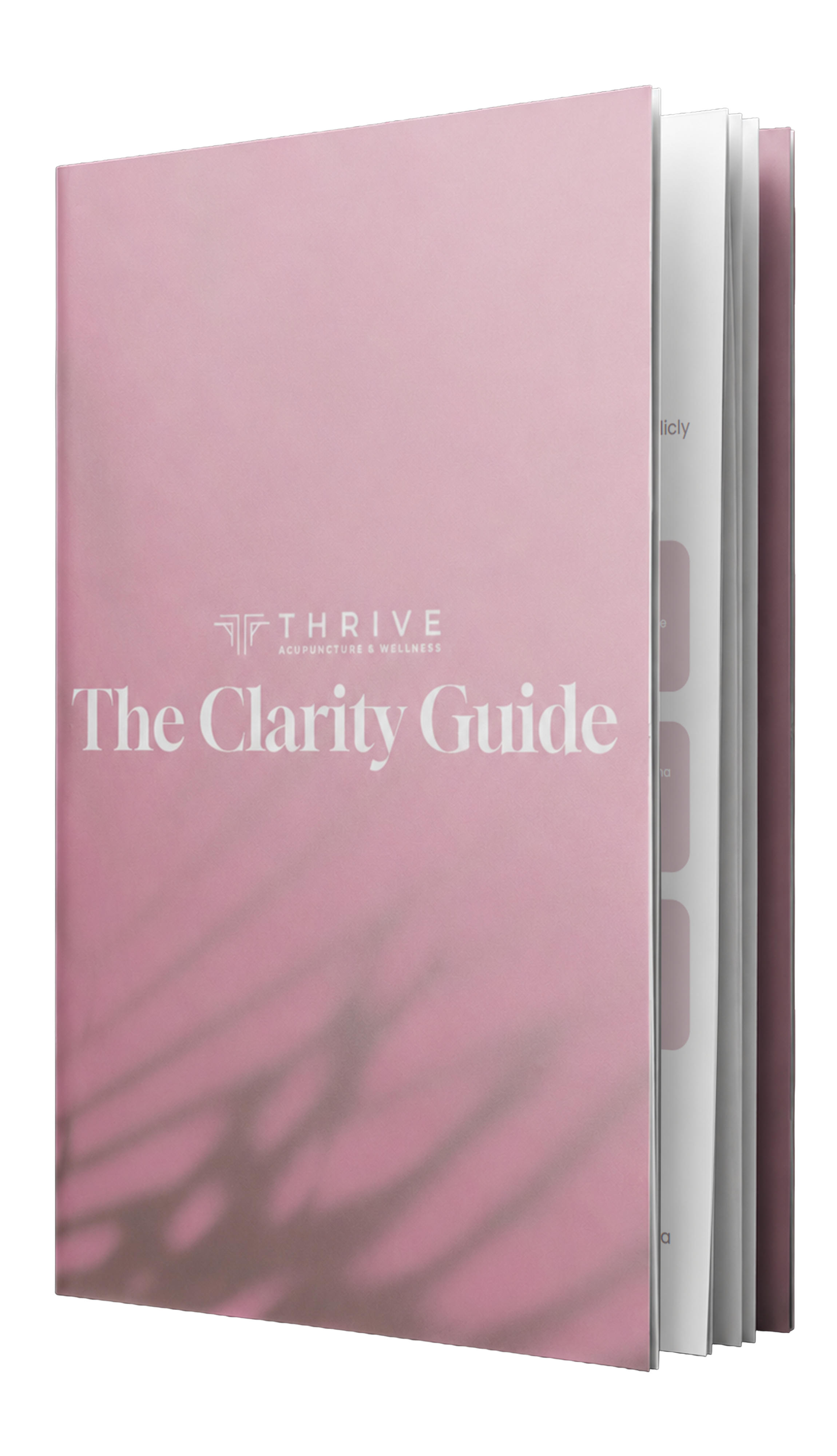 The Thrive Acupuncture & Wellness Clarity Guide