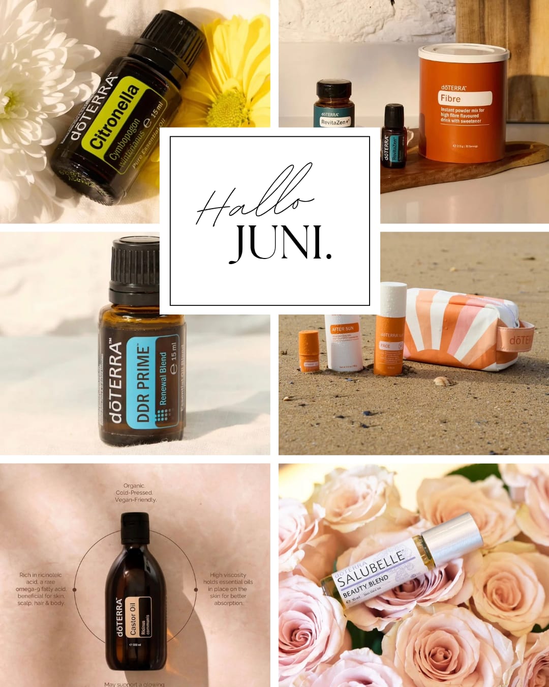 Angebot Juni 1