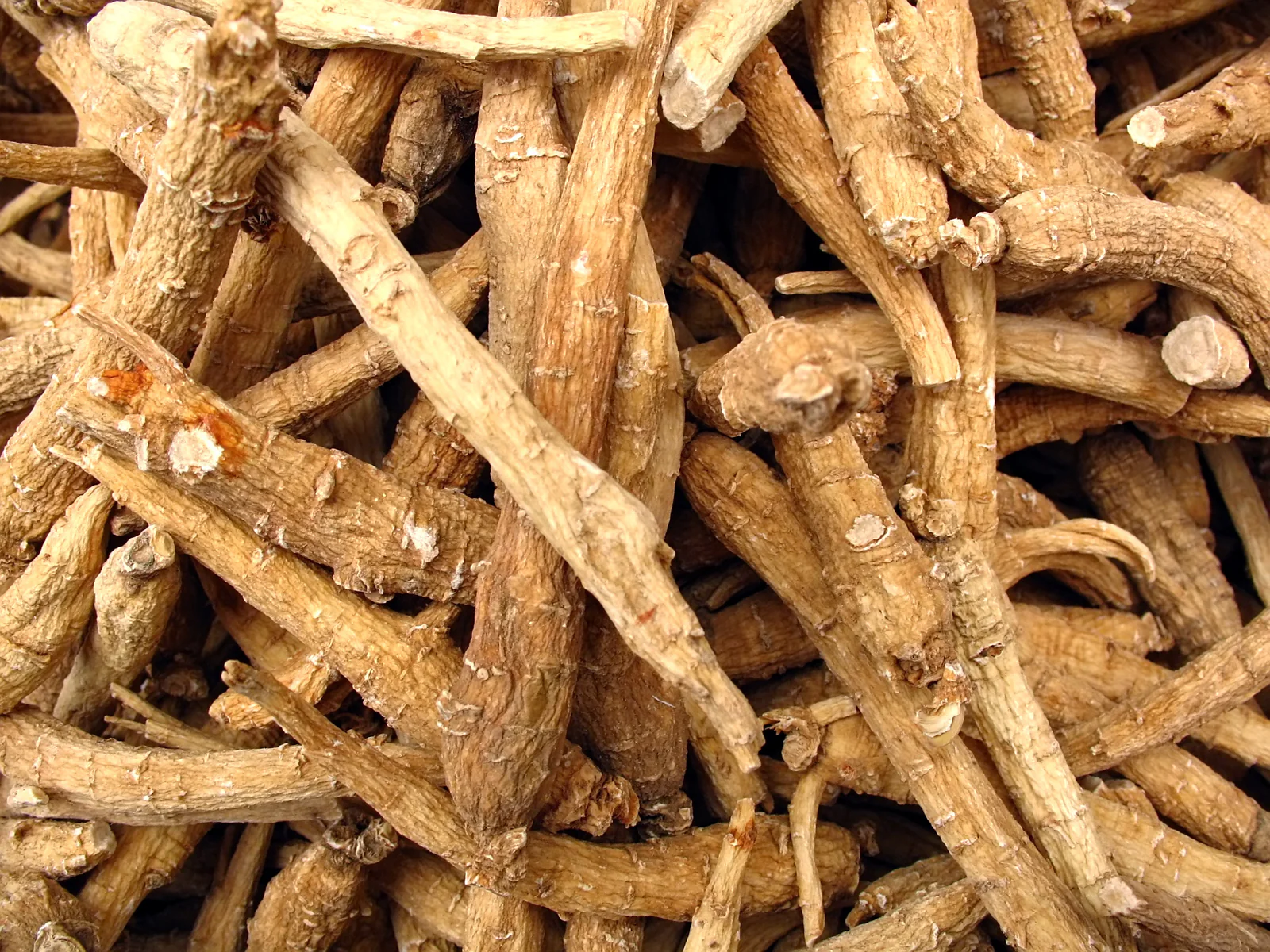 Ginseng Root Extract