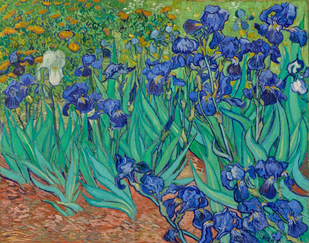 Vincent van Gogh painting Irises at Saint-Rémy 1899 Vincent van Gogh painting Irises at Saint-Rémy 1899