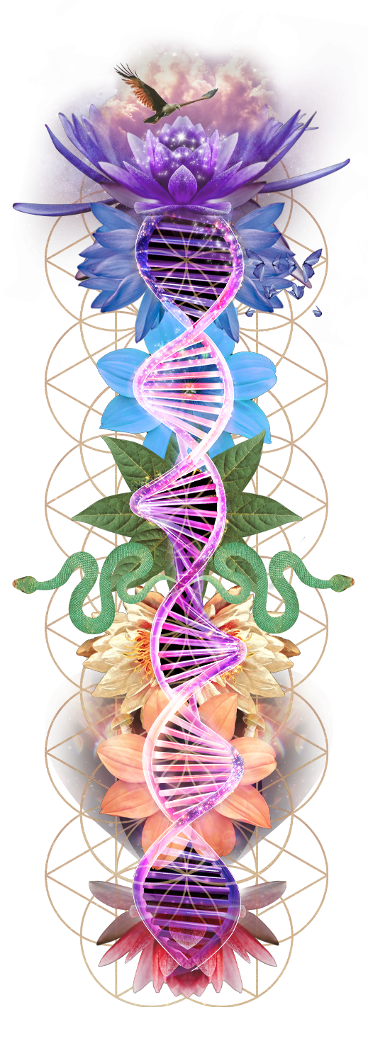 DNA wellness art