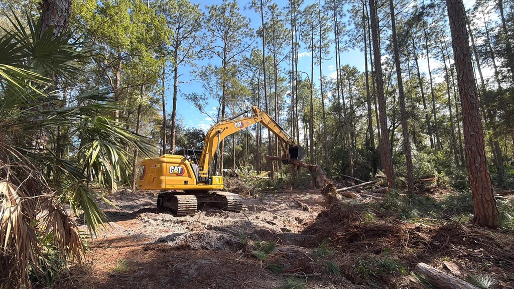 Land clearing equipment working on property