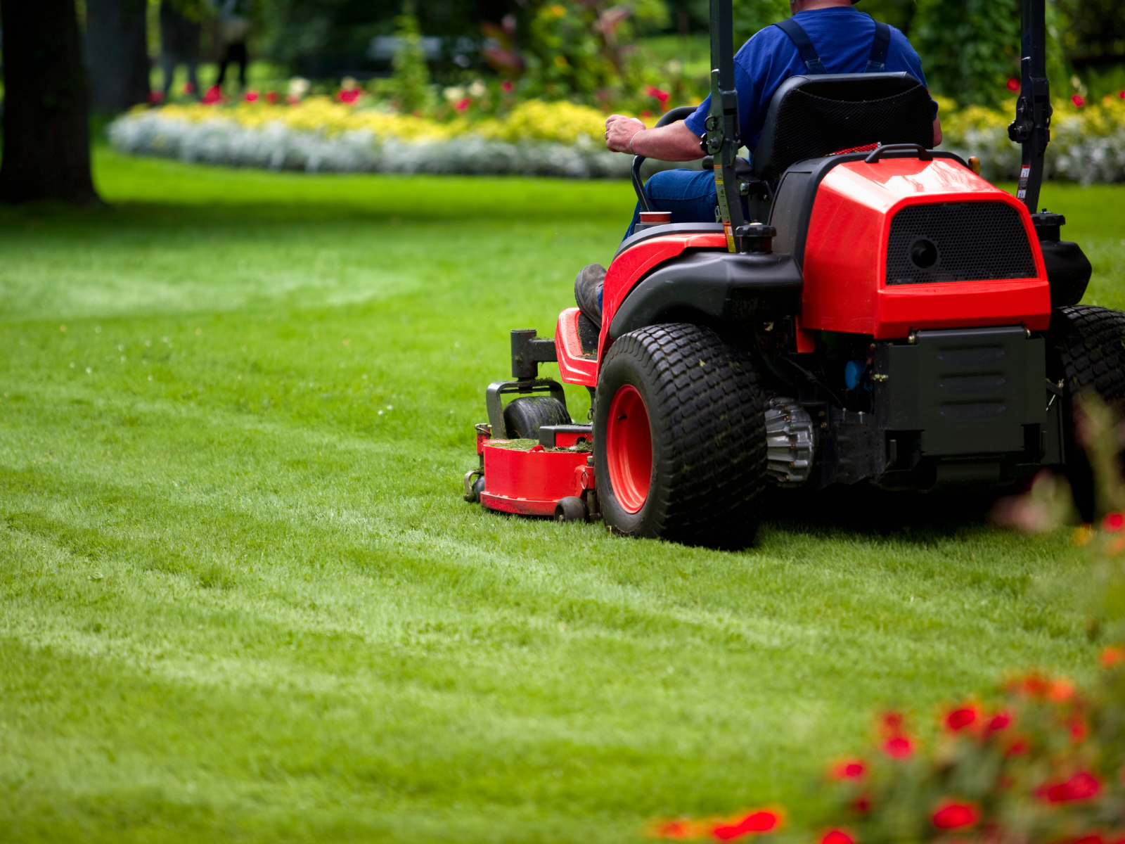 Lawn mowing service with clean stripes and a freshly cut yard