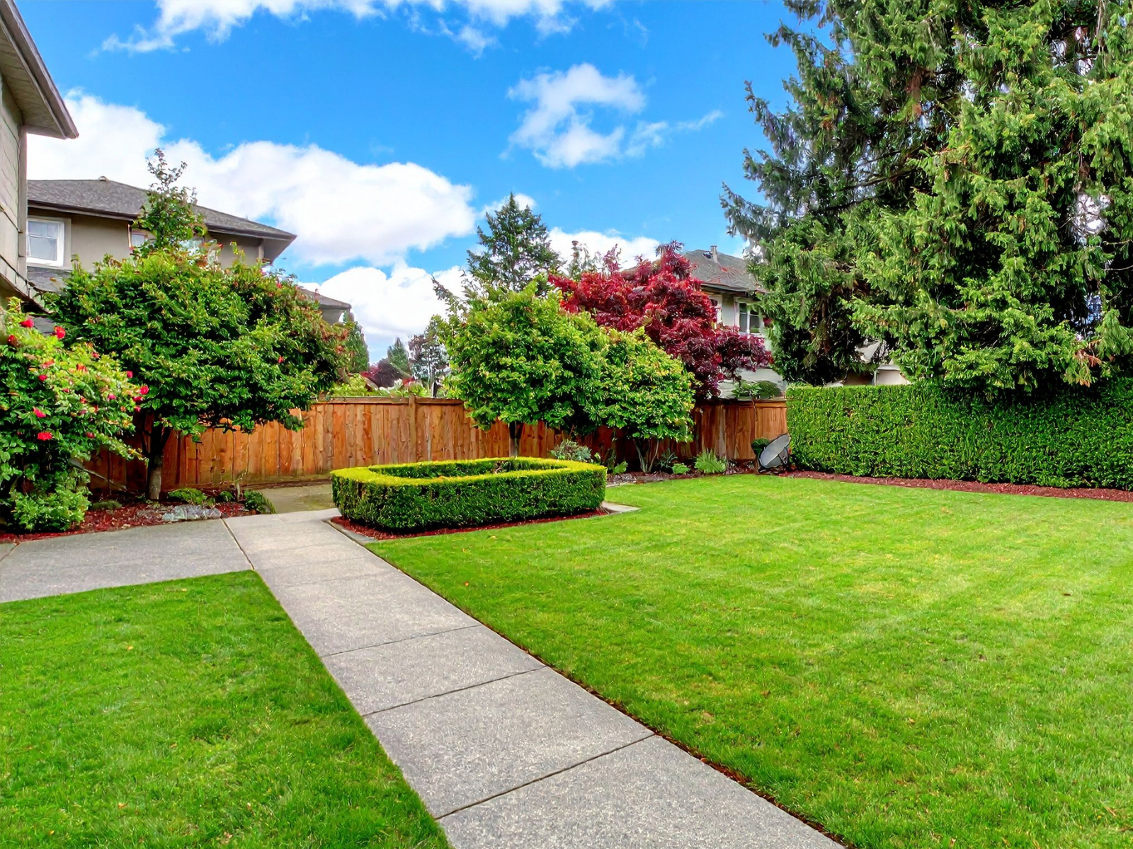 Freshly maintained lawn with clean lines and polished curb appeal