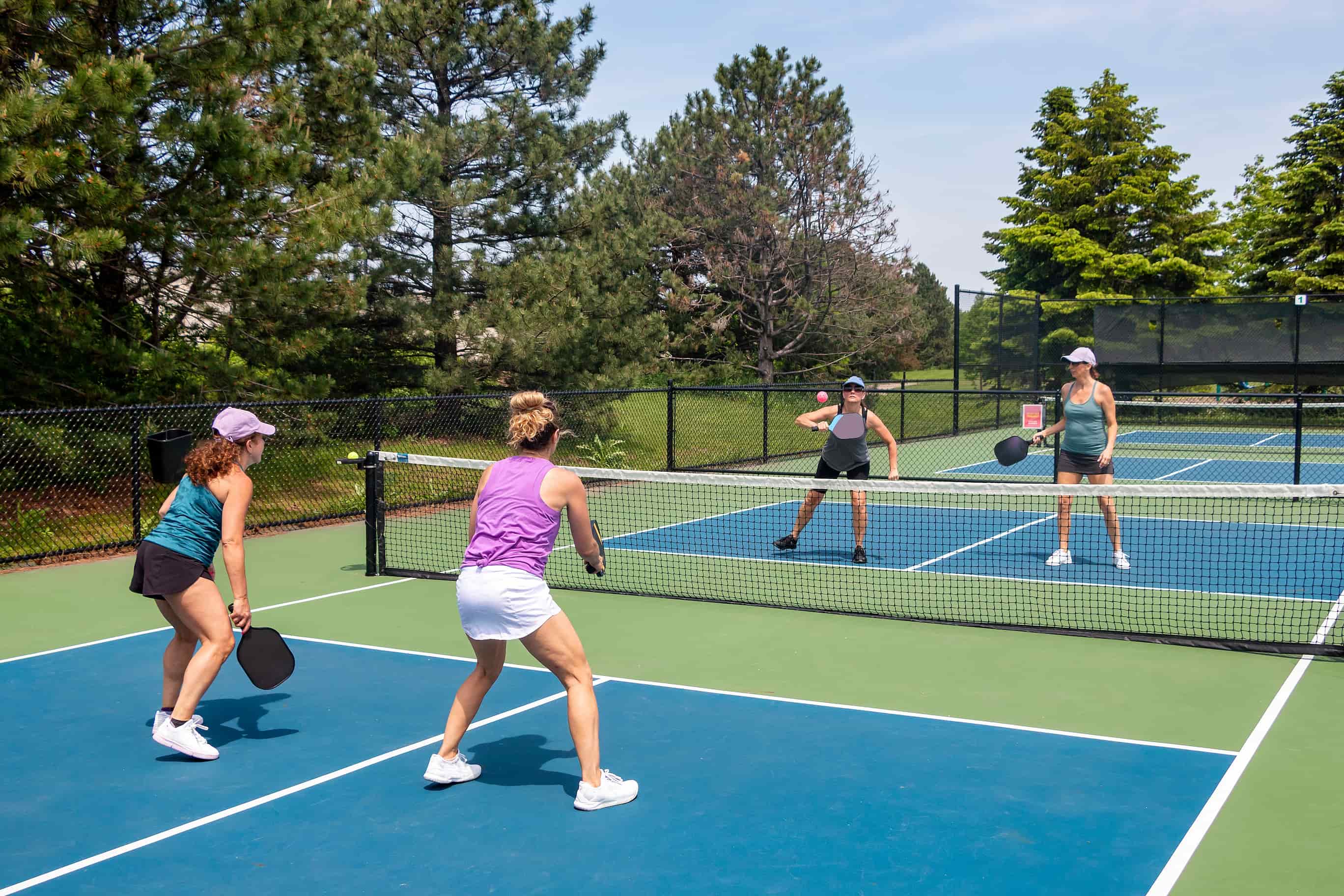 Pickleball Court
