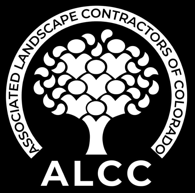 ALCC Award Winner