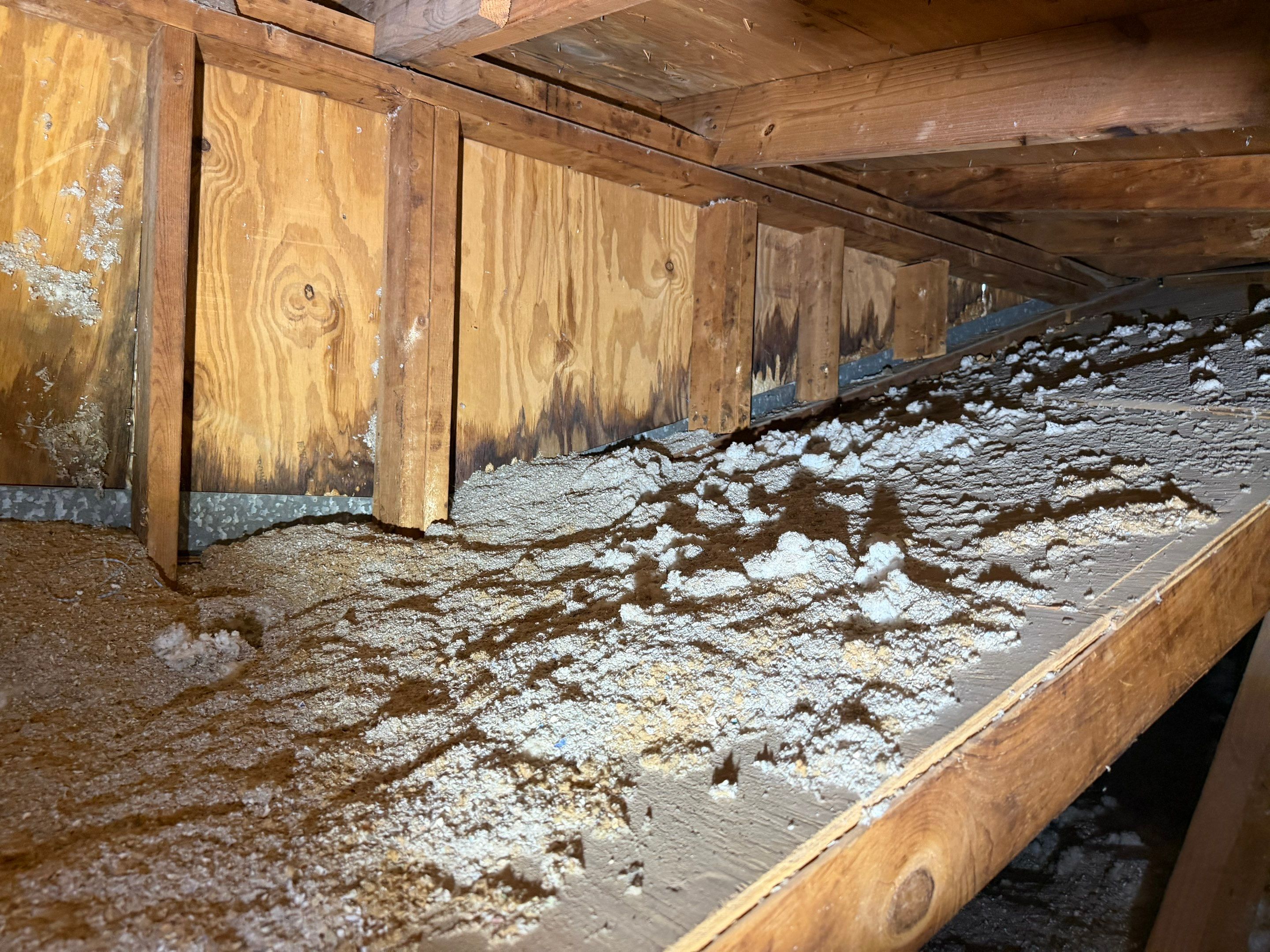 Dark discoloration along attic plywood and wooden framing above loose fill insulation at San Antonio water damage restoration property