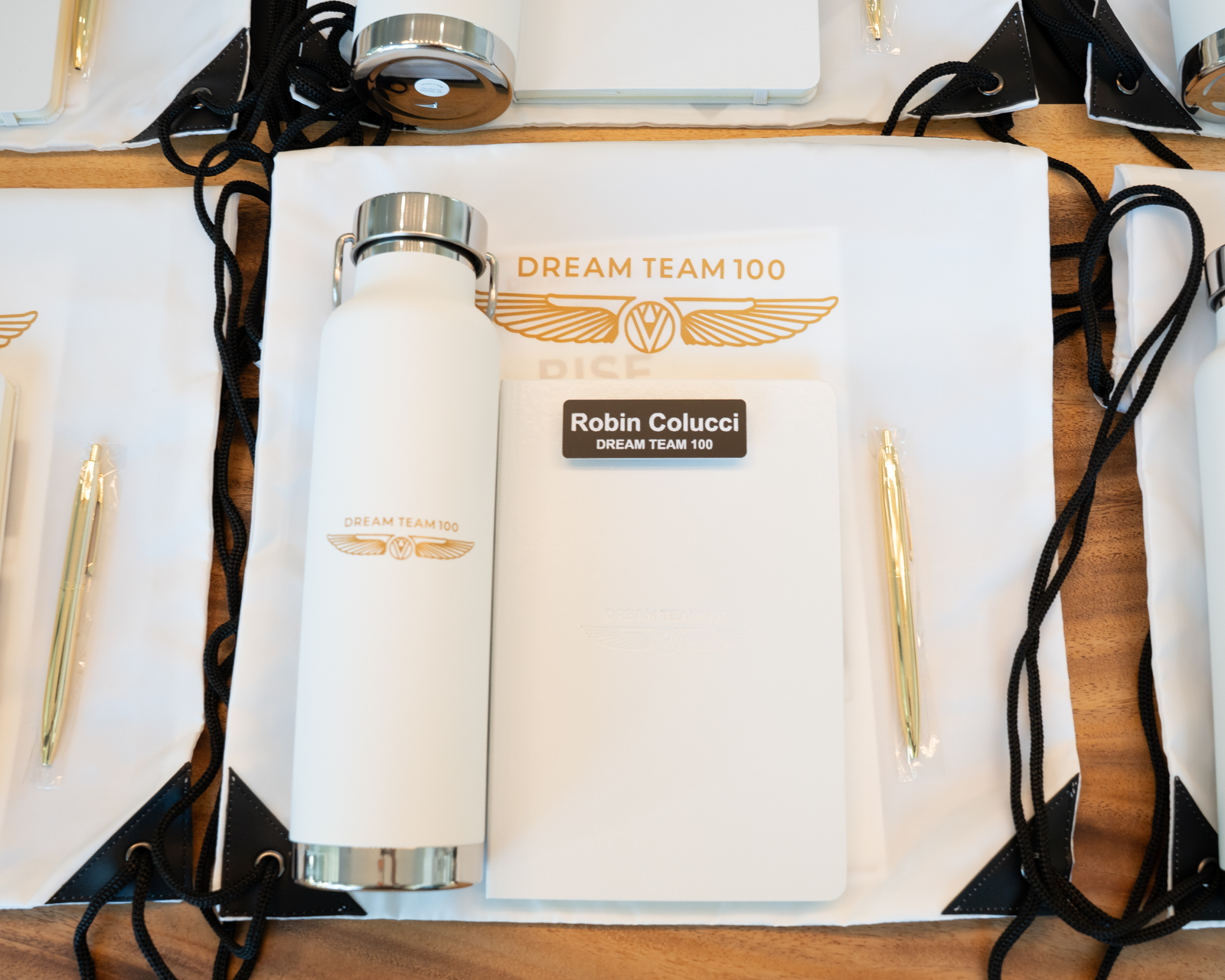 DT100 premium swag kit