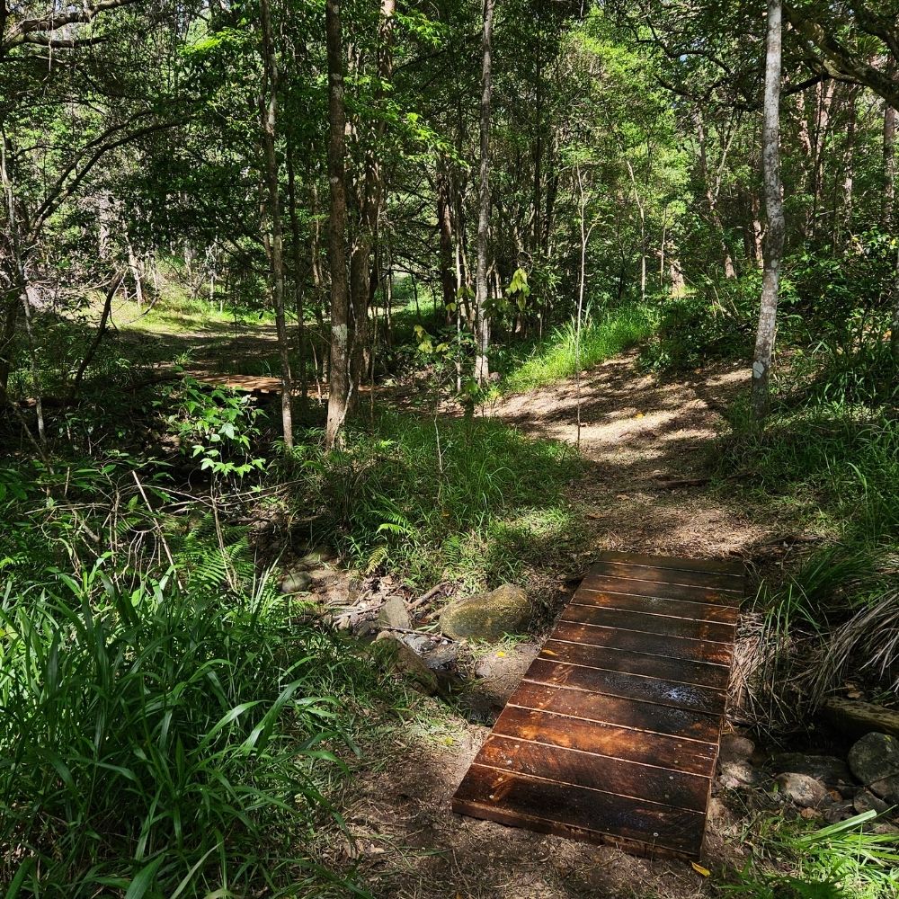 Clean edged landscape path installation