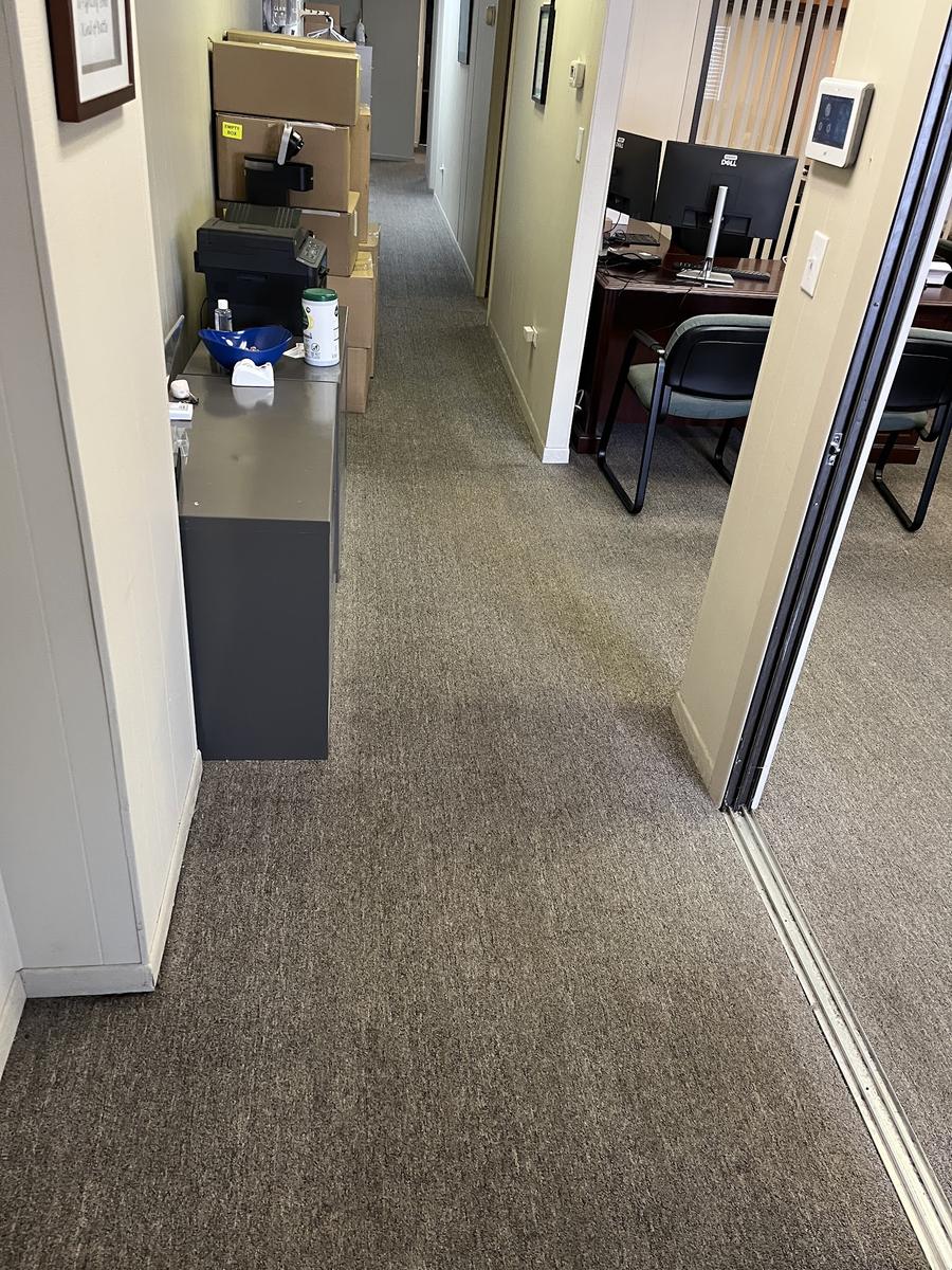 Office hallway with vacuumed carpet after routine janitorial service