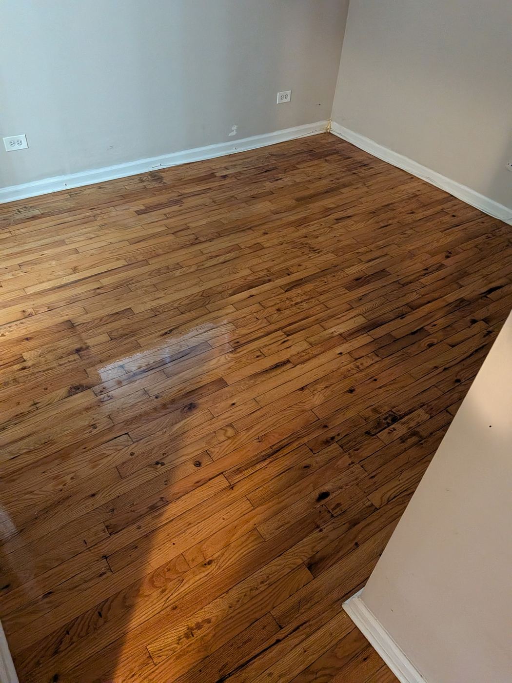Empty room with clean hardwood floor after move-out cleaning
