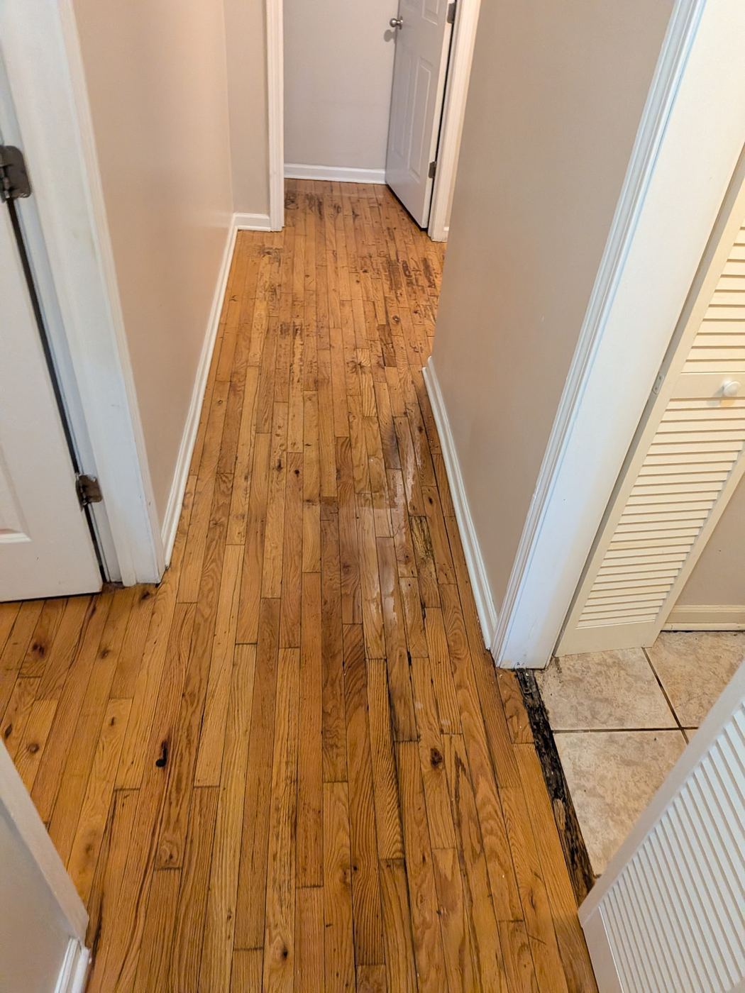 Clean hardwood hallway in a vacant unit after turnover cleaning