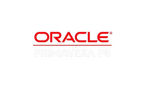 Software partner logo