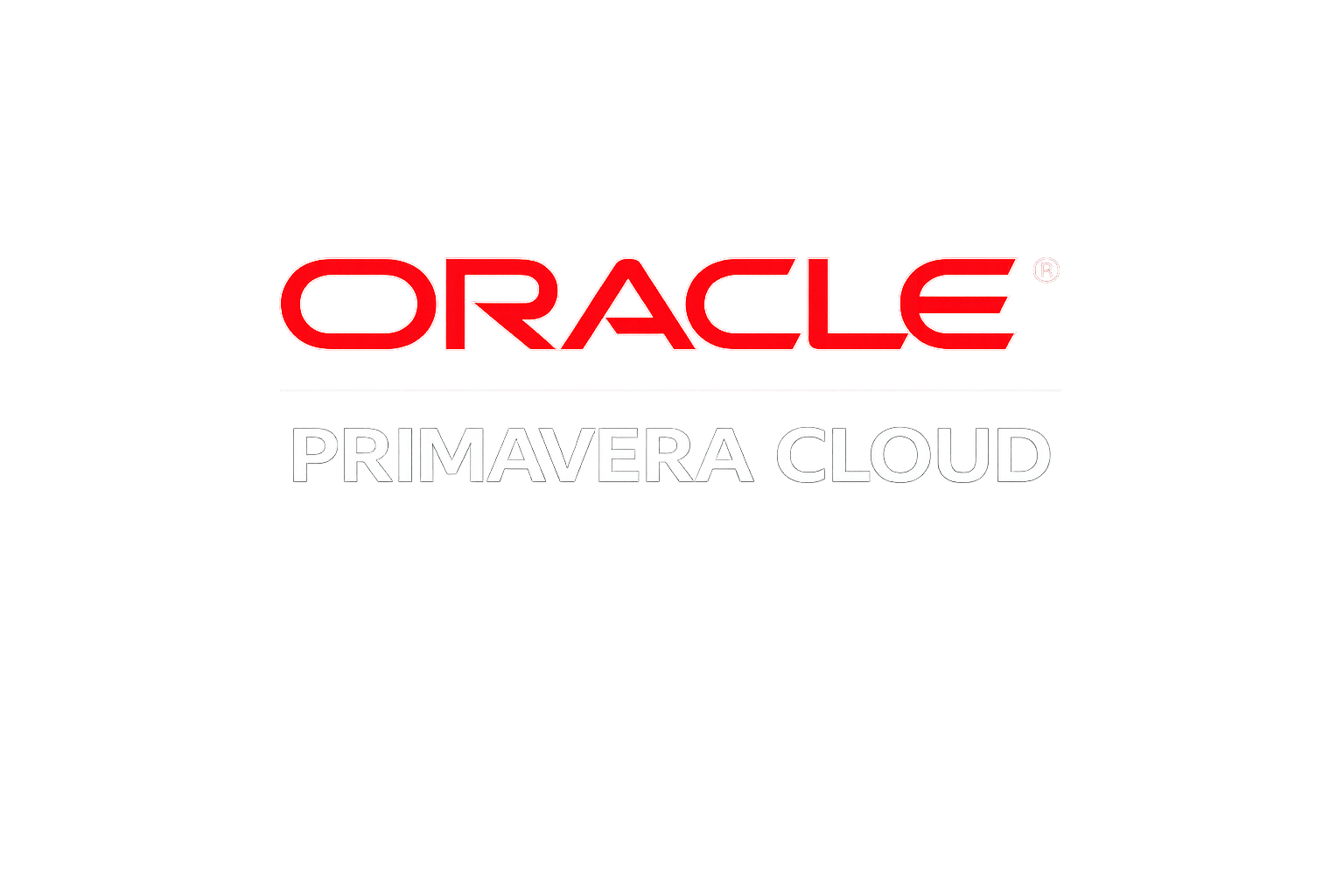 Software partner logo