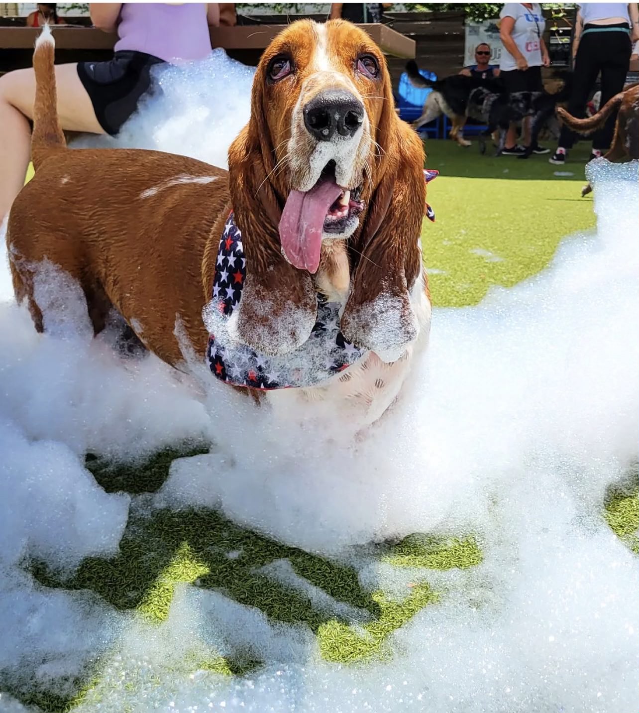 Birthday foam party