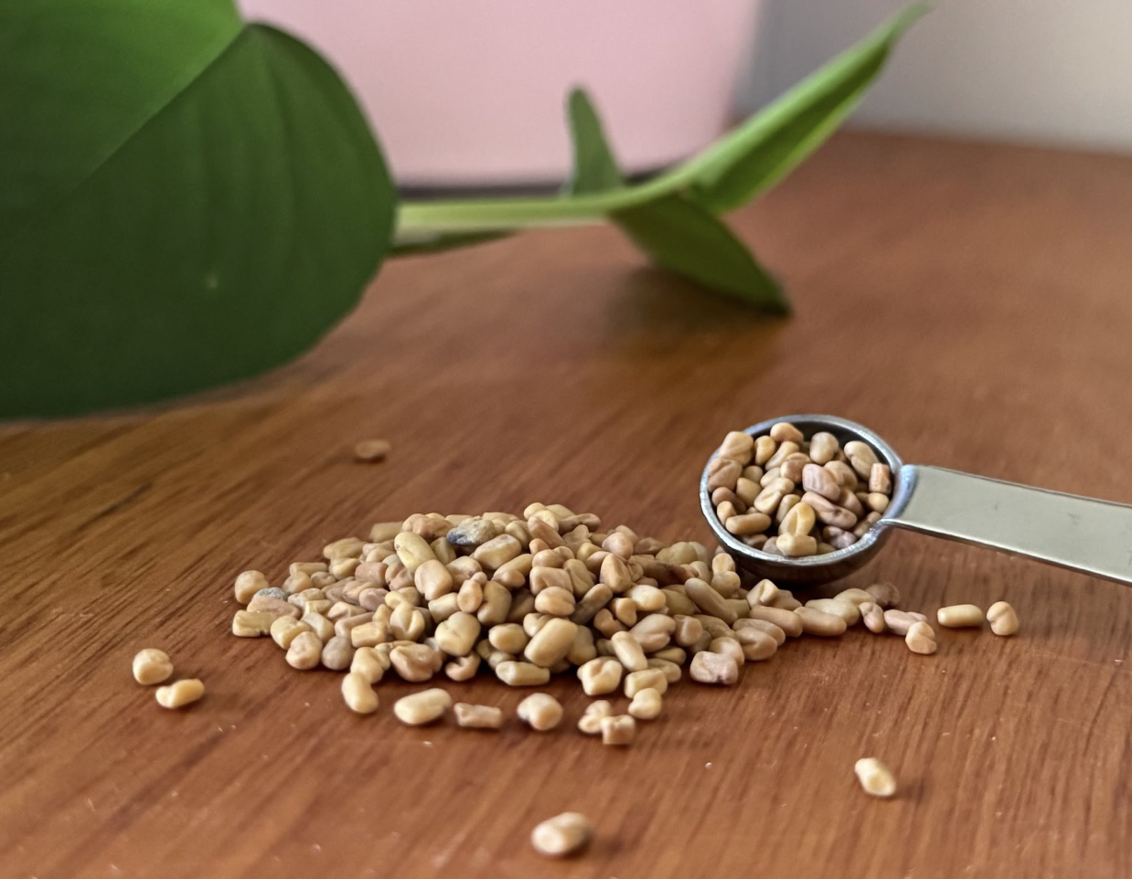 A pile of fenugreek seeds A pile of fenugreek seeds