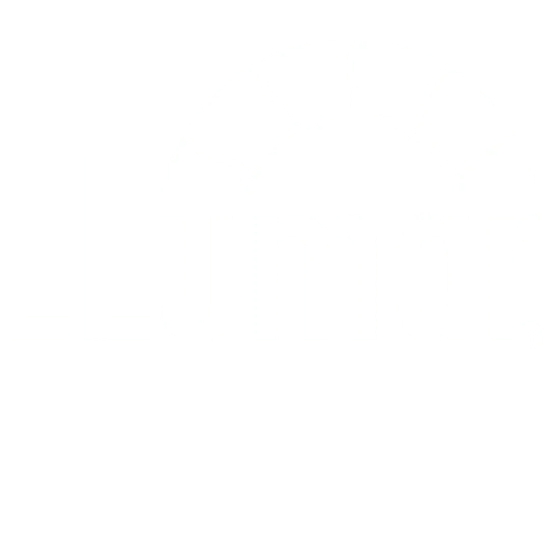 Llumar PPF Authorized Dealer