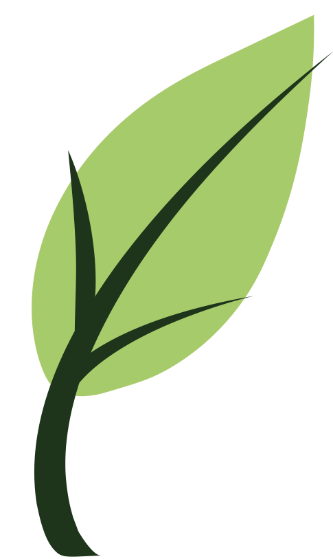 Executive Health Reset