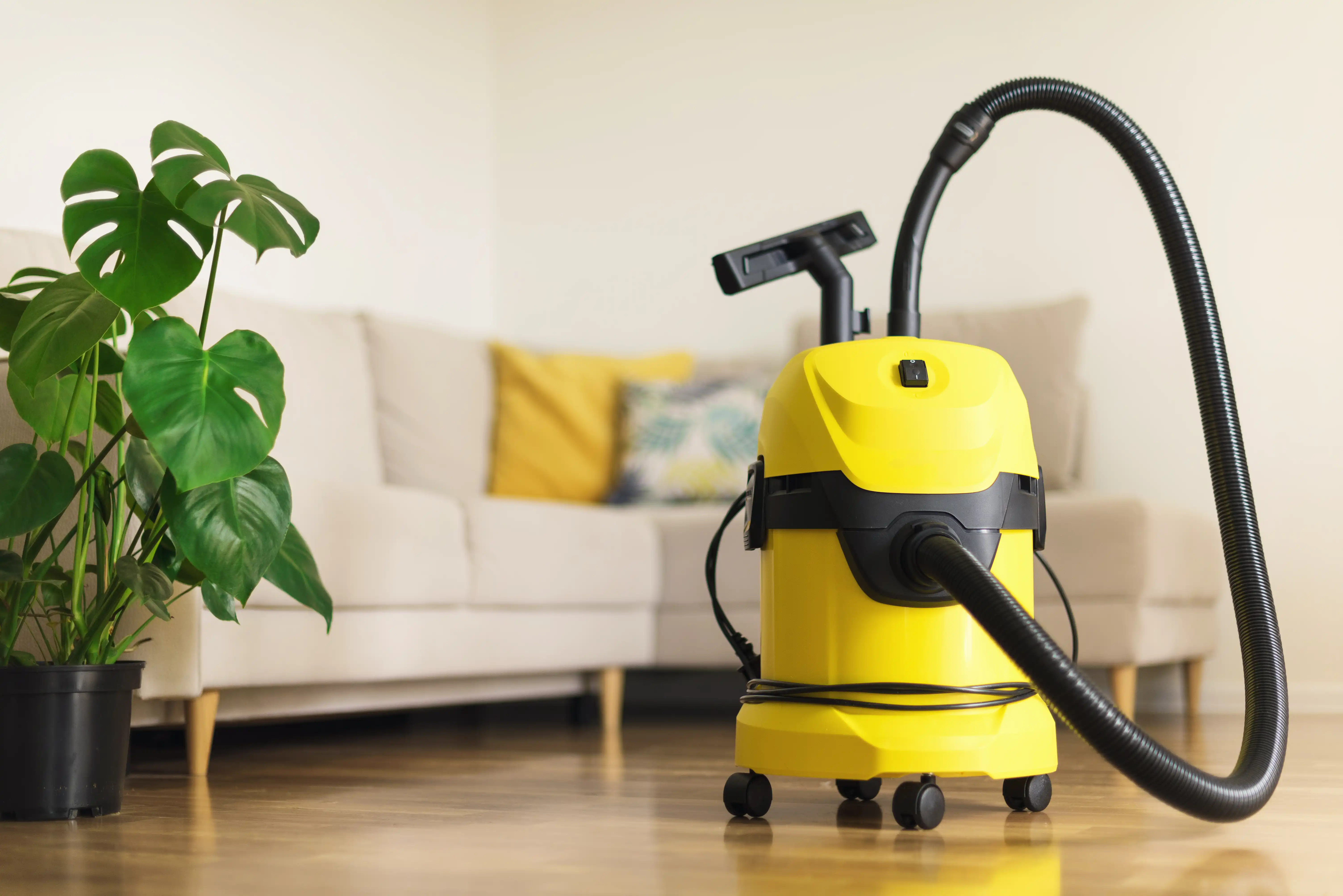 Cleaning Services in Bethel