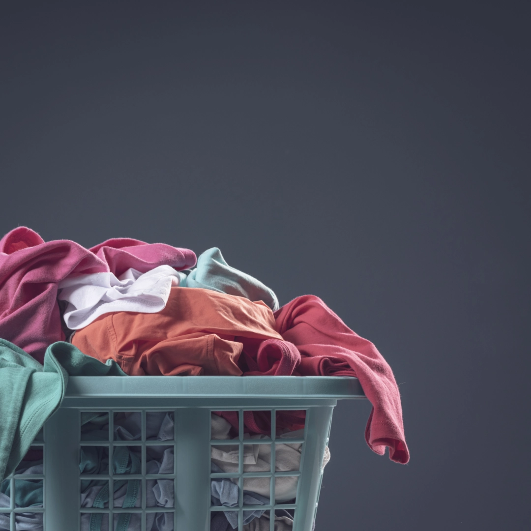 Cleaning Services in Bell Arthur
