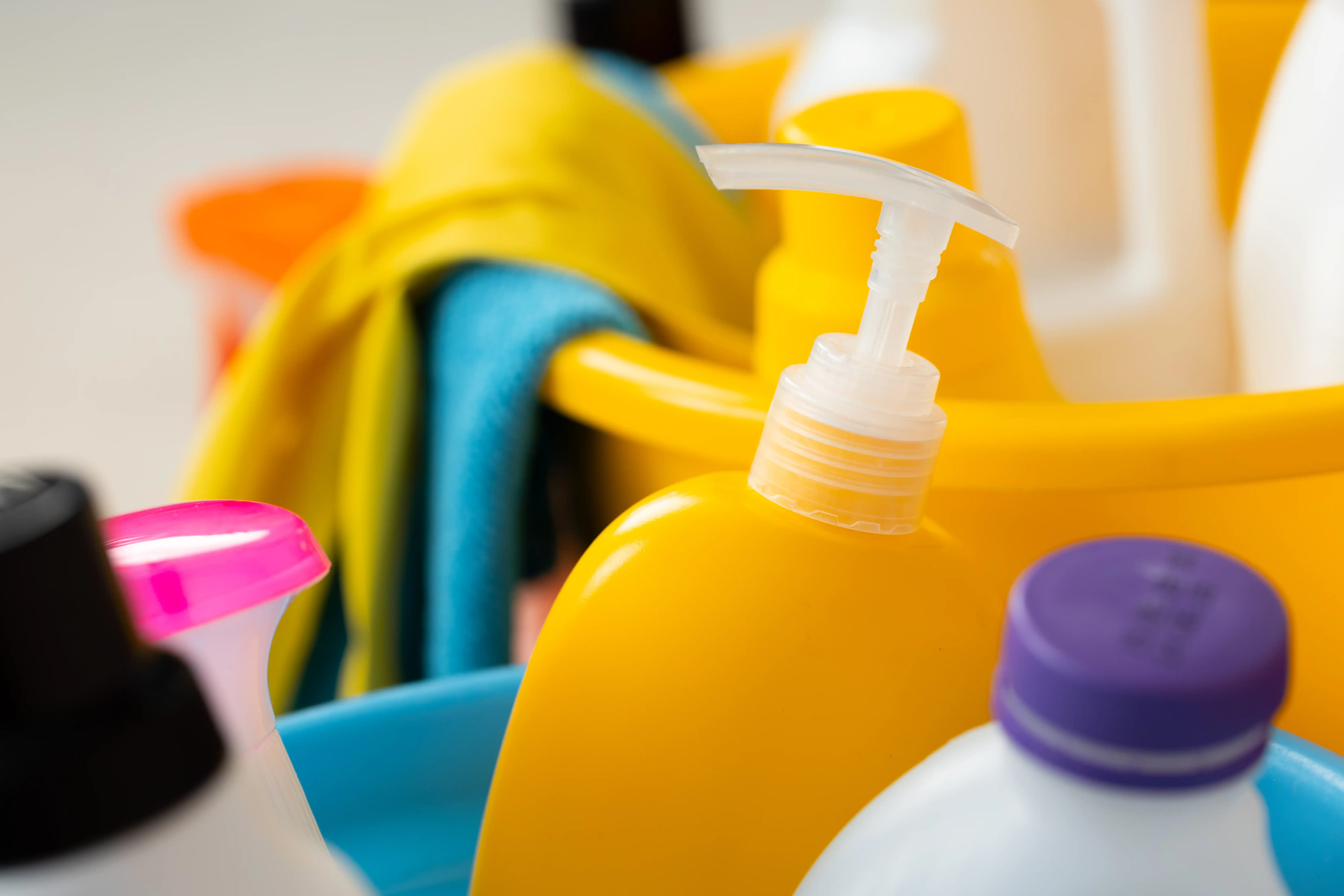 Cleaning Services in Bell Arthur