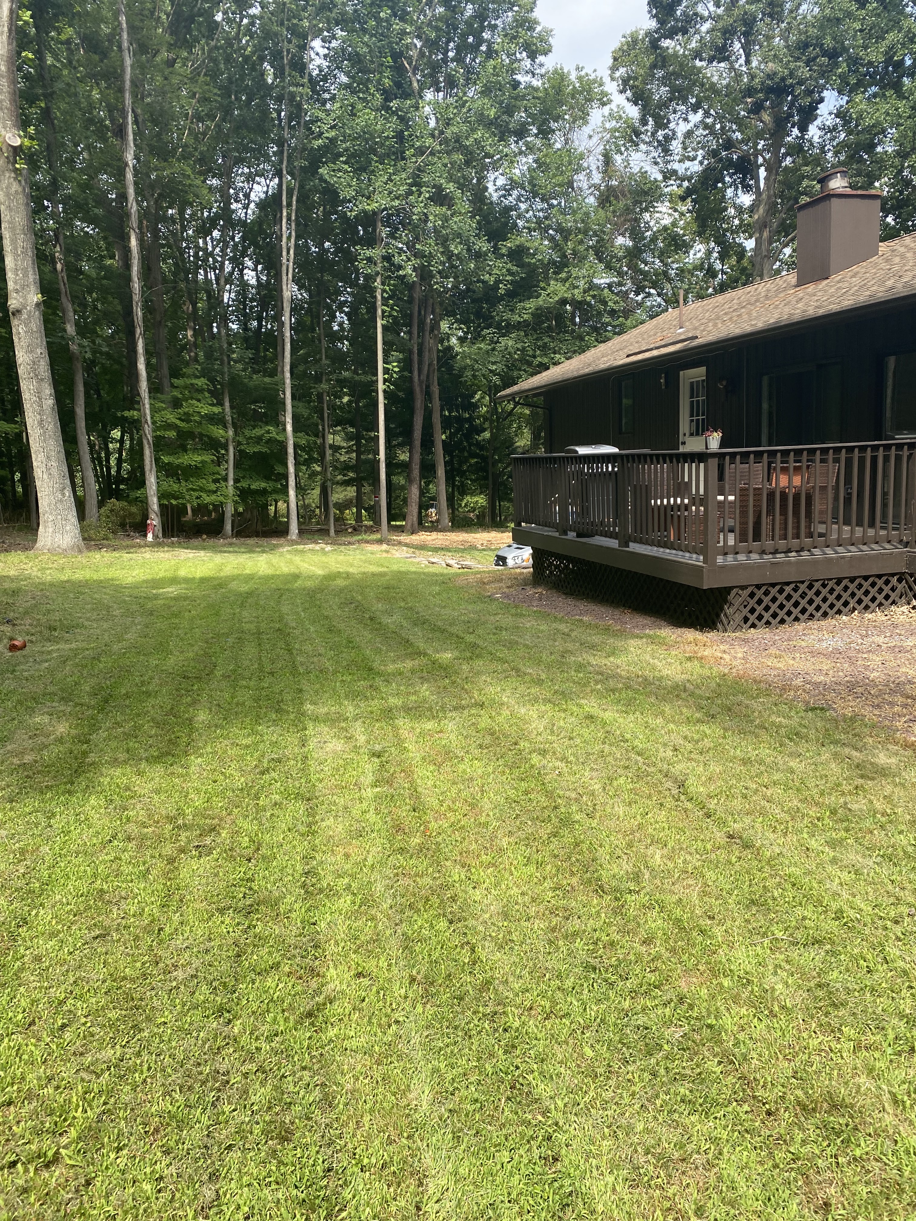 House with a deck surrounded by tall trees and a grassy lawn, built by Platinum Werx