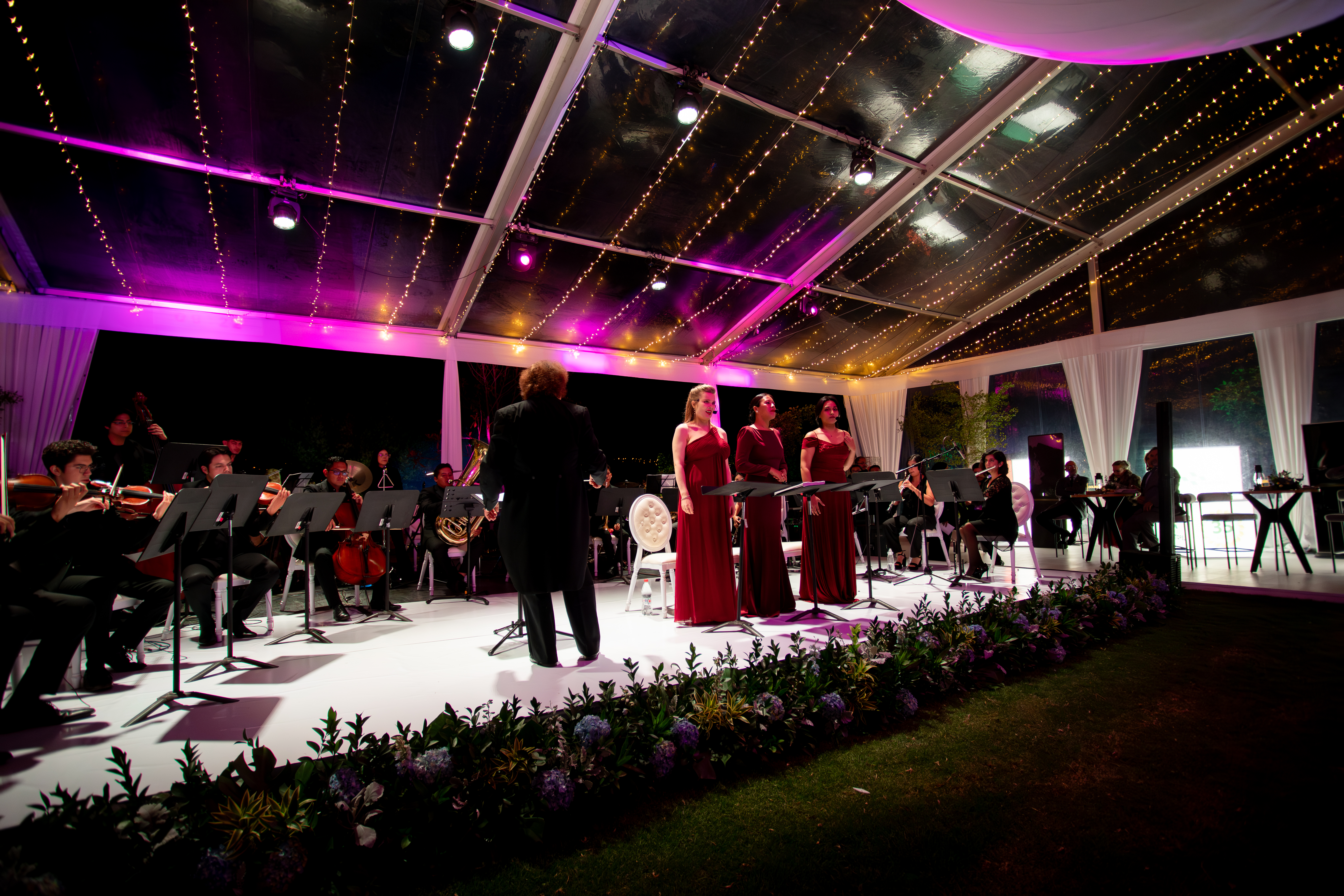 Bodas