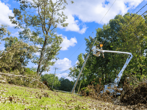 Storm Cleanup in Cumming