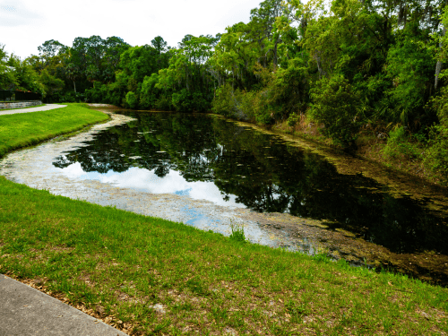 Retention Ponds in Cumming