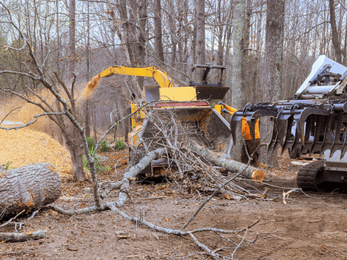 Gainesville Clearing