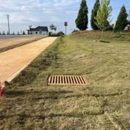 Brush Cutting Cumming