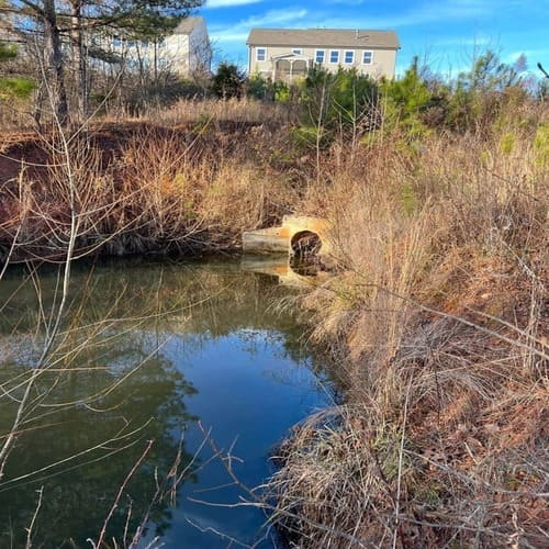 Storm Cleanup Cumming