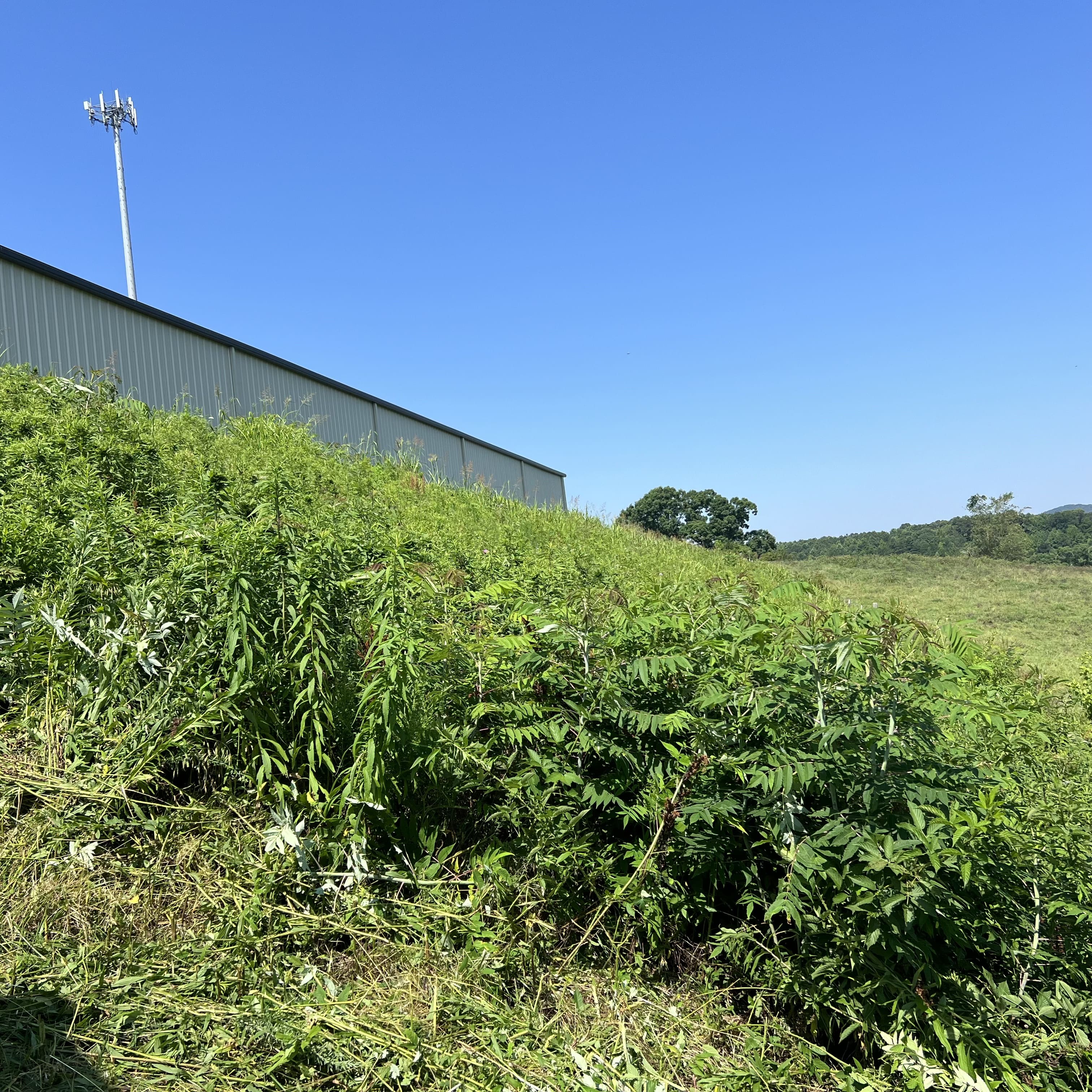 Drainage Solutions Cumming