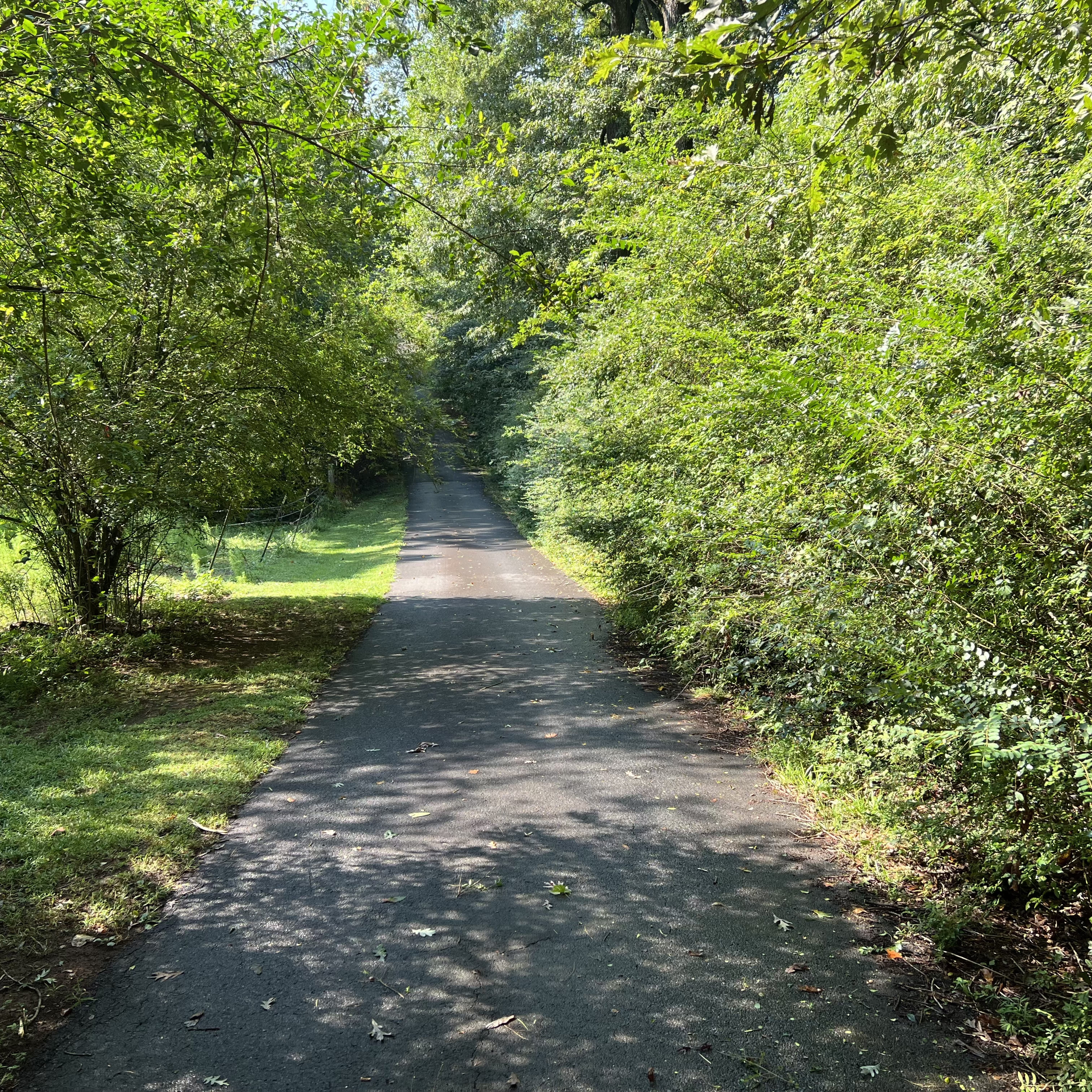 Cumming Concrete/Asphalt Removal