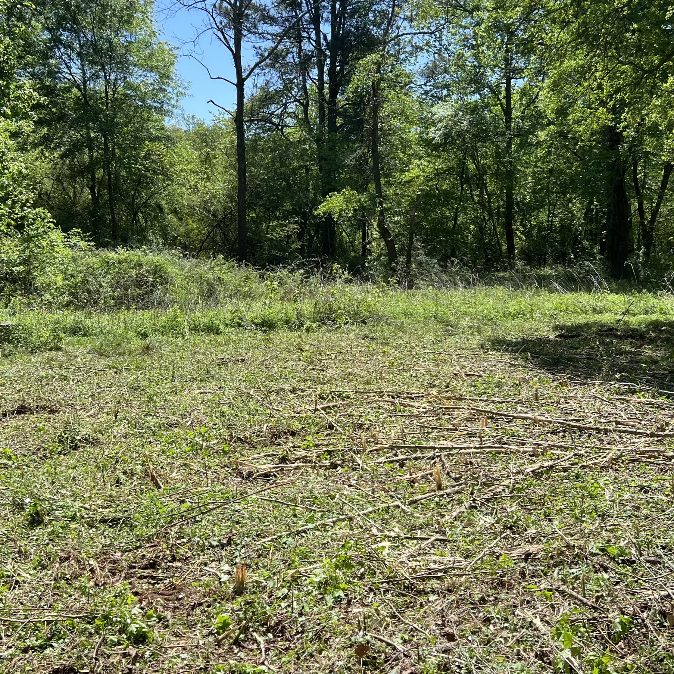 {{ custom_values.service_1 }} in {{custom_values.biz_area_1})