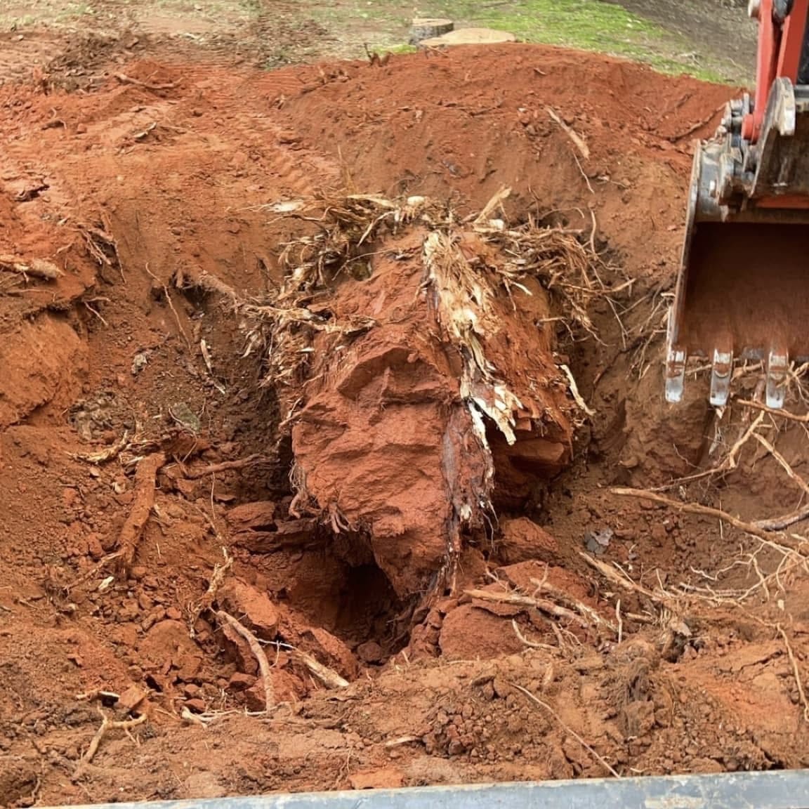 Detention Ponds Cumming