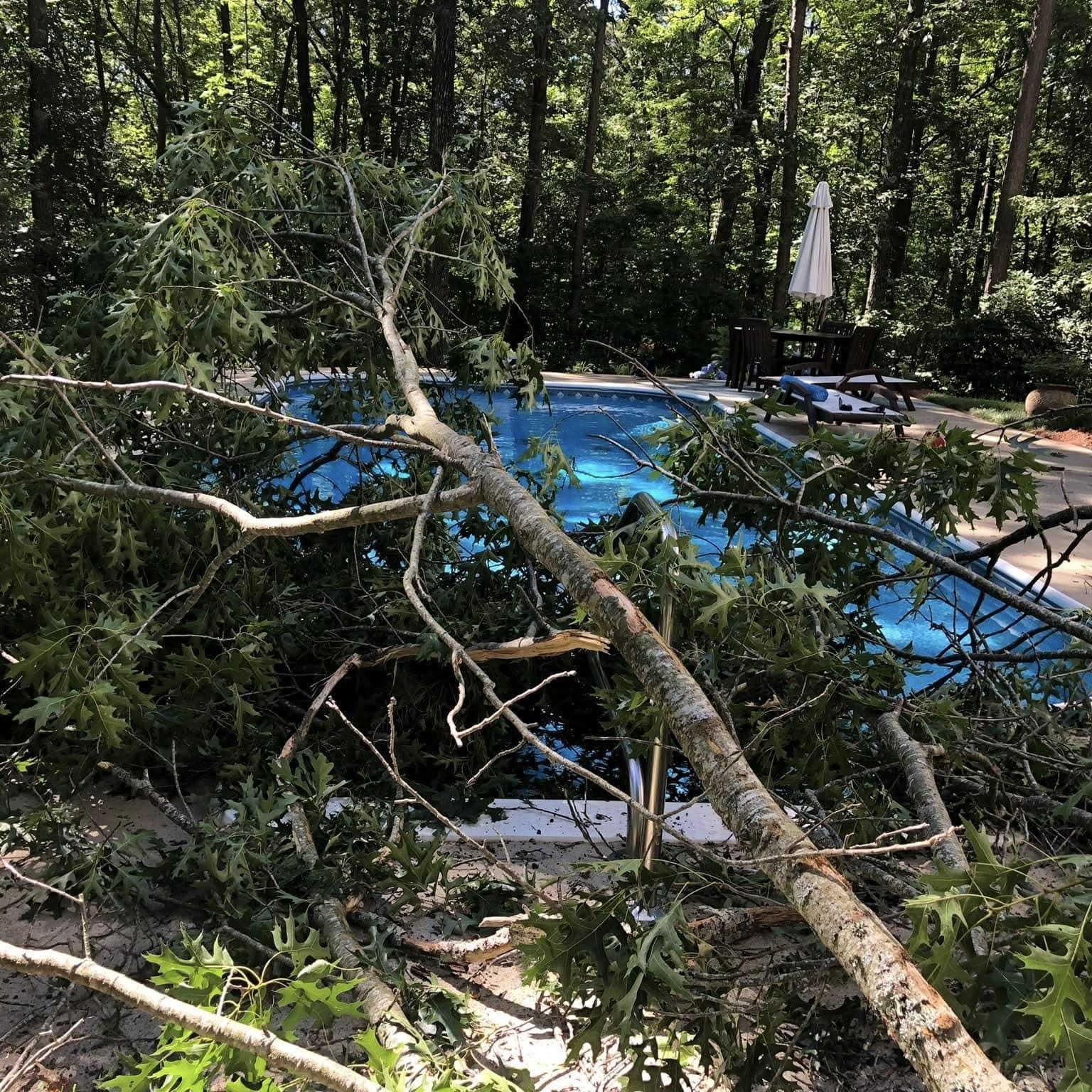 Storm Cleanup in Cumming