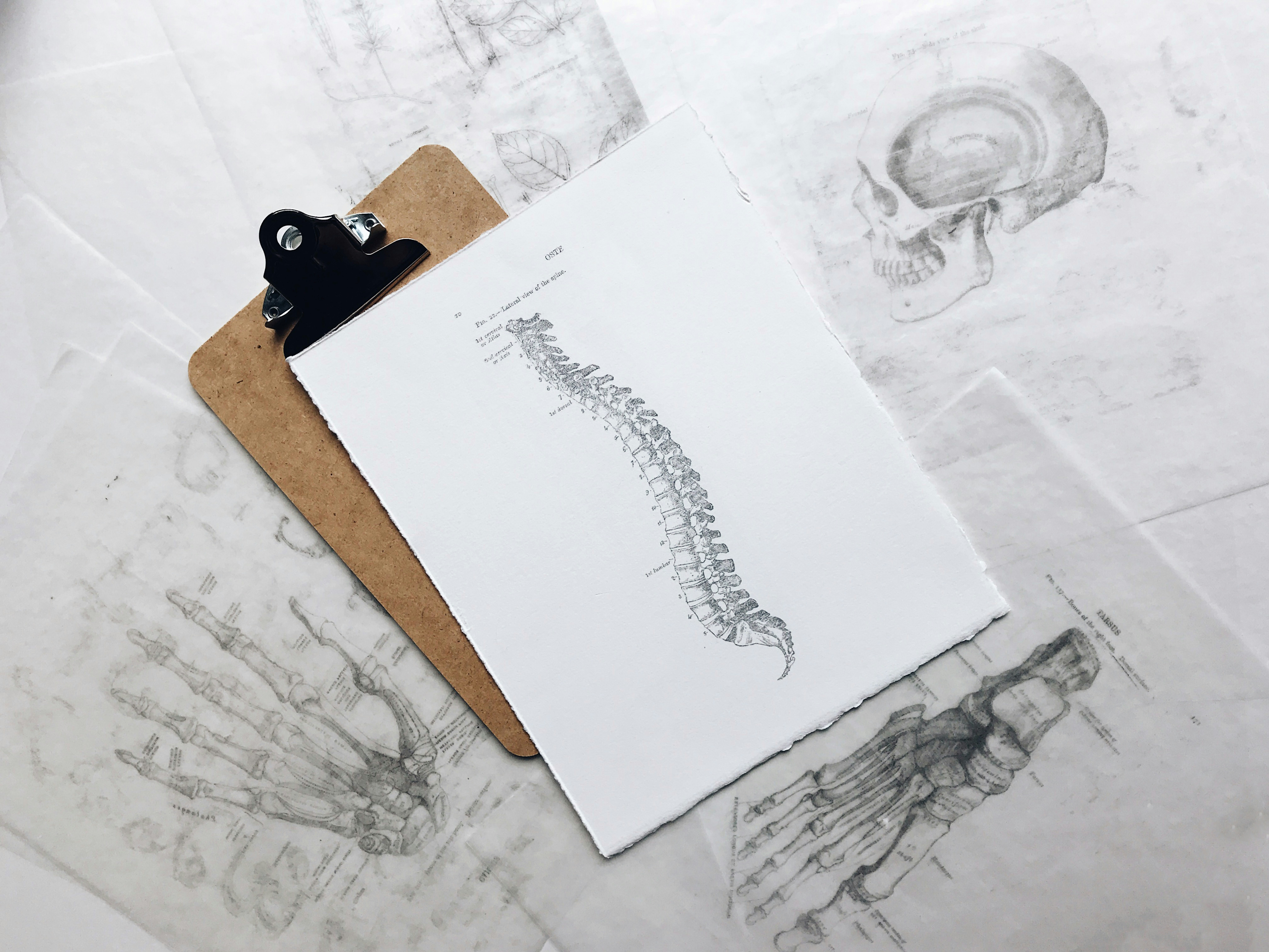are you looking for a top chiropractor are you looking for a top chiropractor