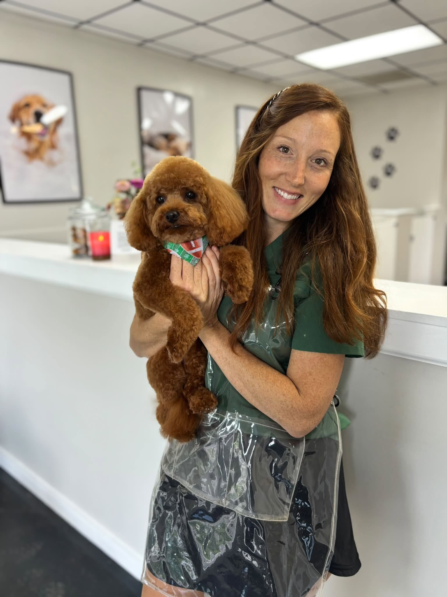 Monica holding a red toy poodle wearing a football bandana at the front desk