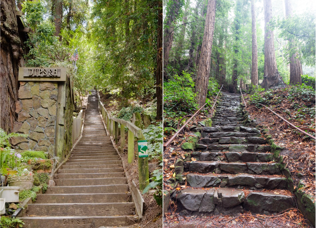 Dipsea Trail staircase in Mill Valley, California with redwood forest and scenic hiking steps