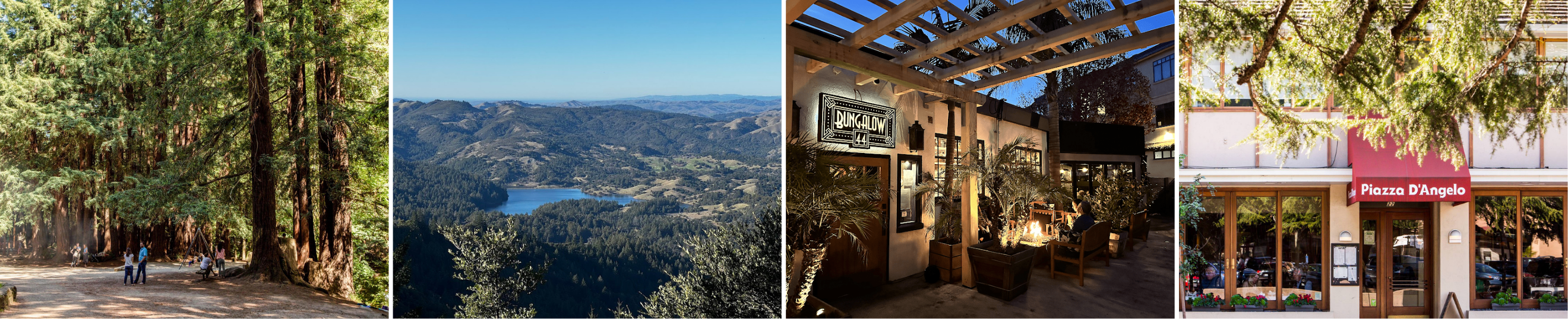 towering redwood trees in old mill park, panoramic view of mount tamalpais and rolling hills, outdoor dining patio at bungalow 44 in downtown mill valley, exterior of piazza d’angelo restaurant in mill valley
