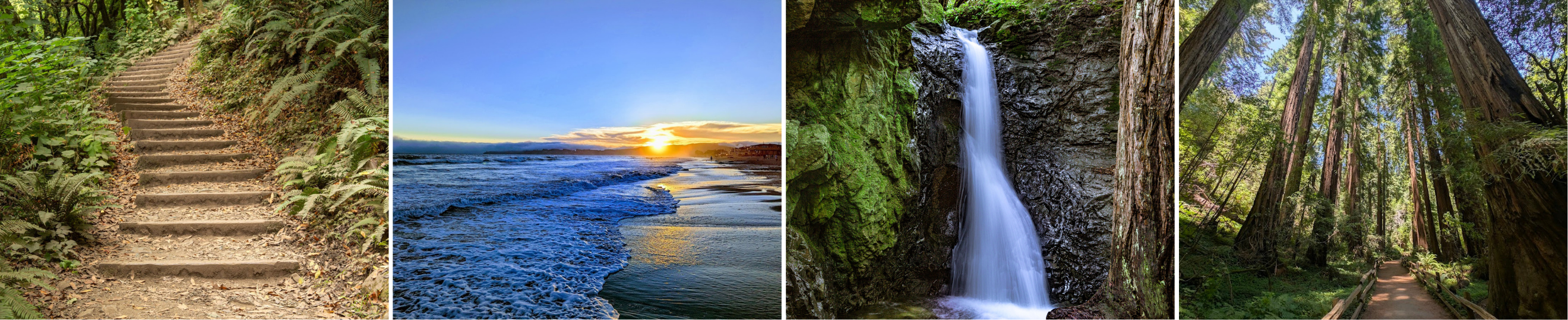 dipsea steps forest stair trail in mill valley, sunset at stinson beach shoreline, cascade falls waterfall in mill valley, redwood walking trail at old mill park