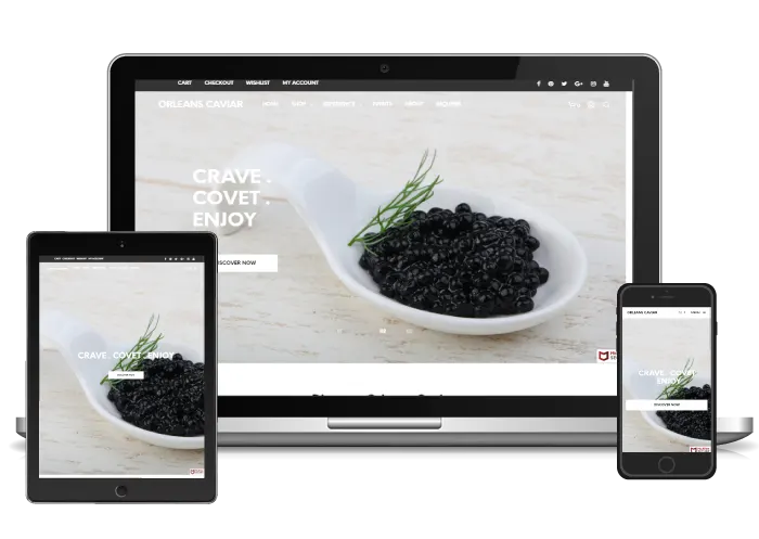 Orleans business website built on WordPress