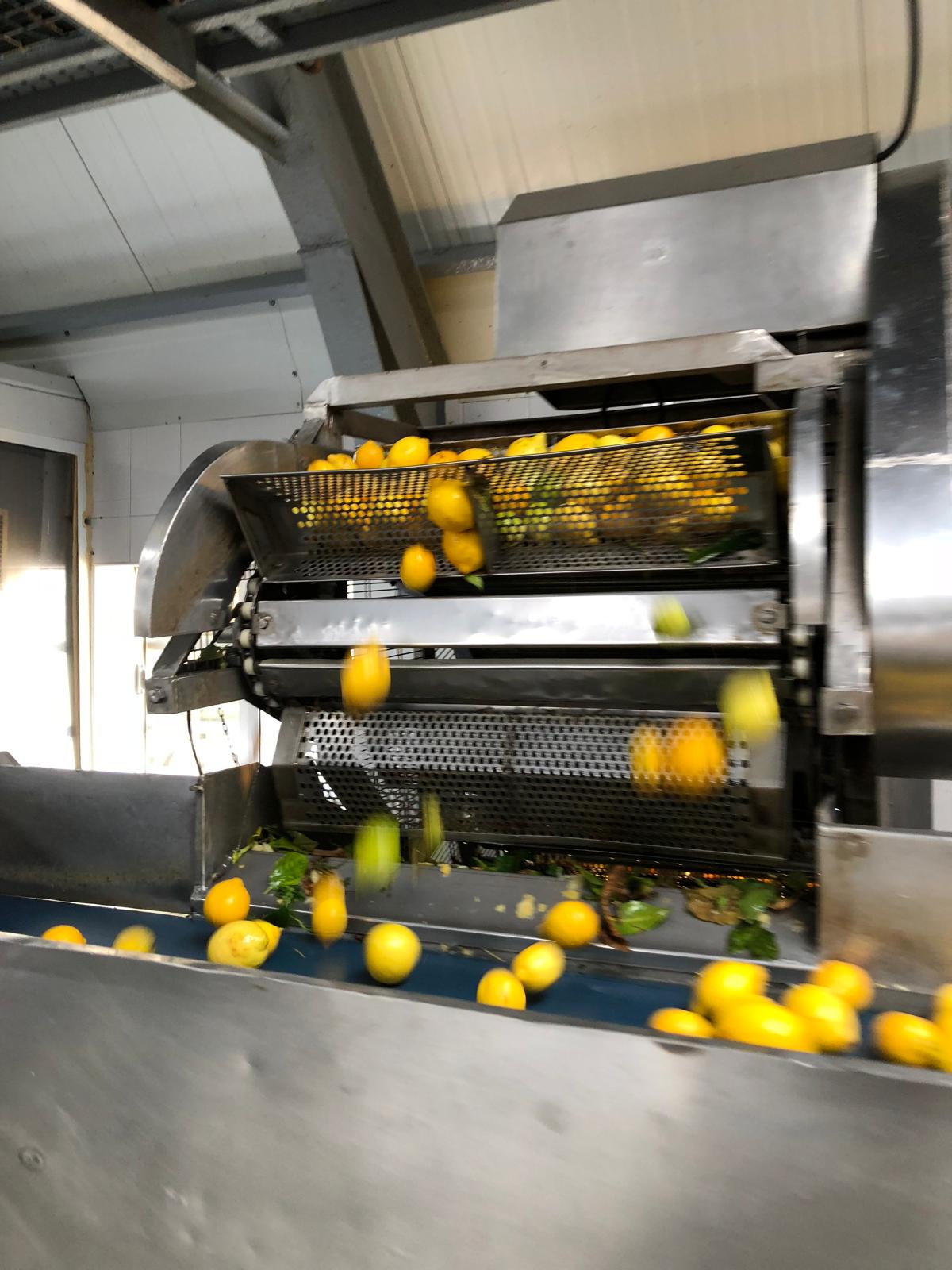 Industrial warehouse with stacked drums of fruit ingredients within the Kabner supplier network