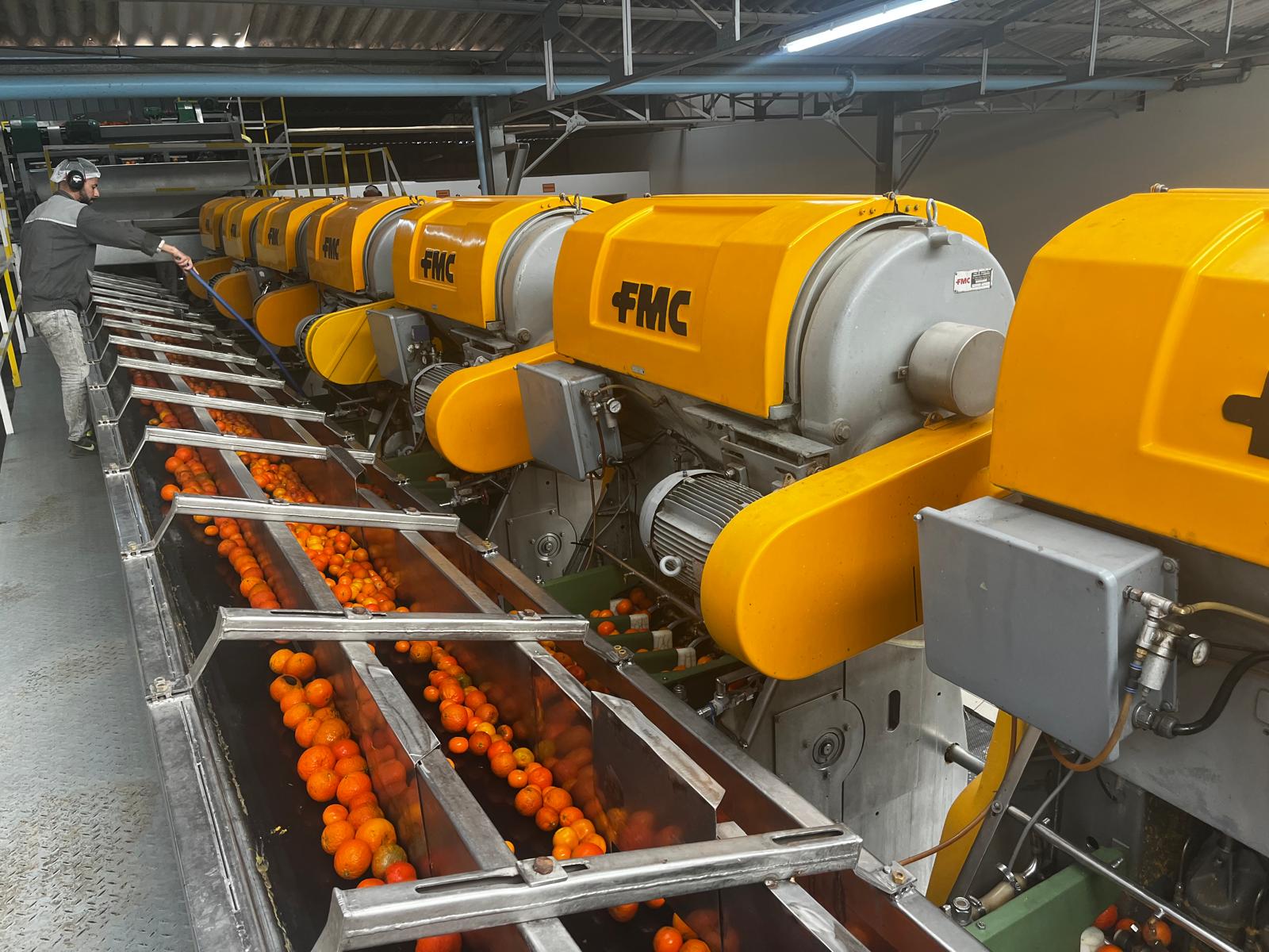 International fruit ingredient trading