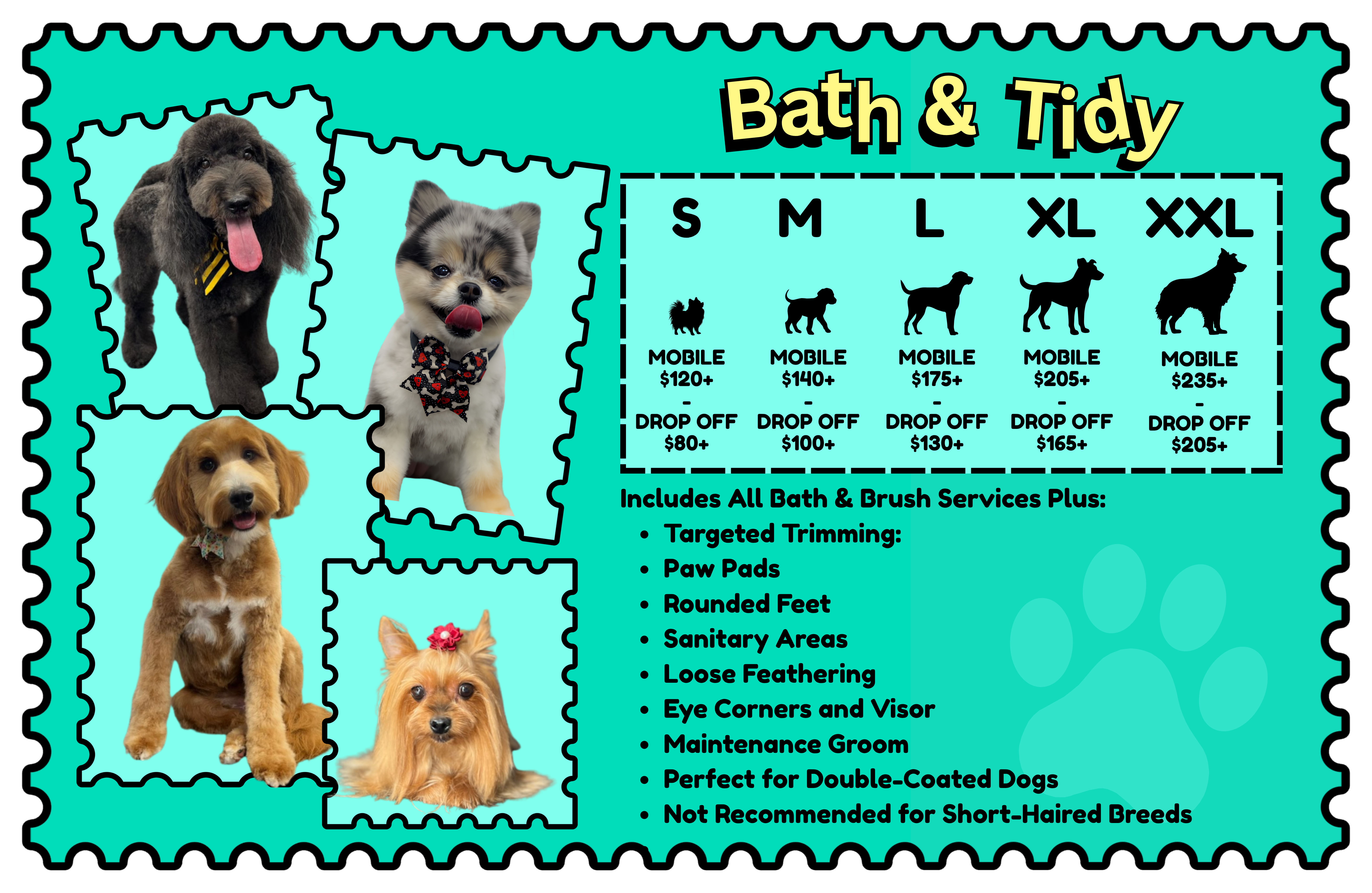 88 Pet Spa Grooming Service 2