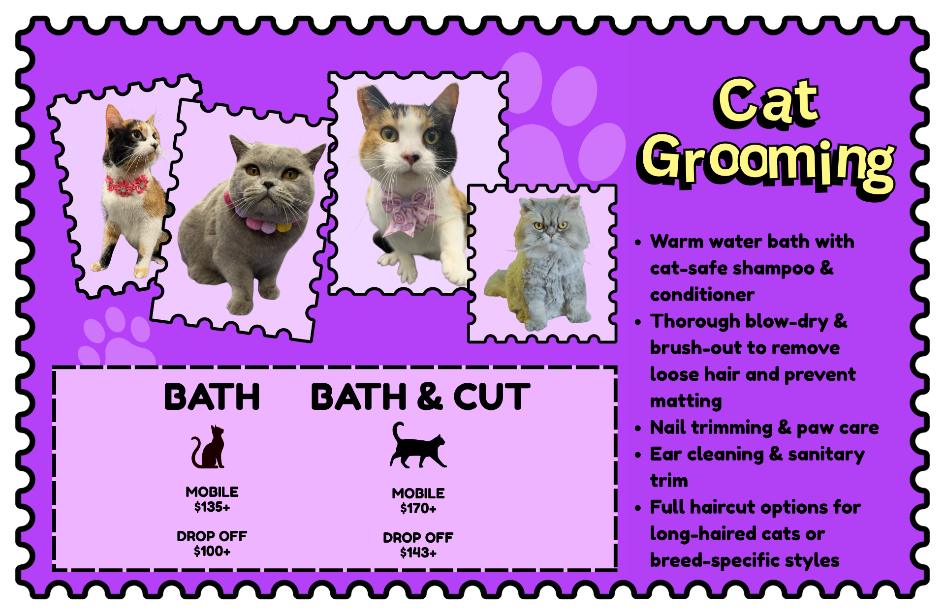 88 Pet Spa Grooming Service 4