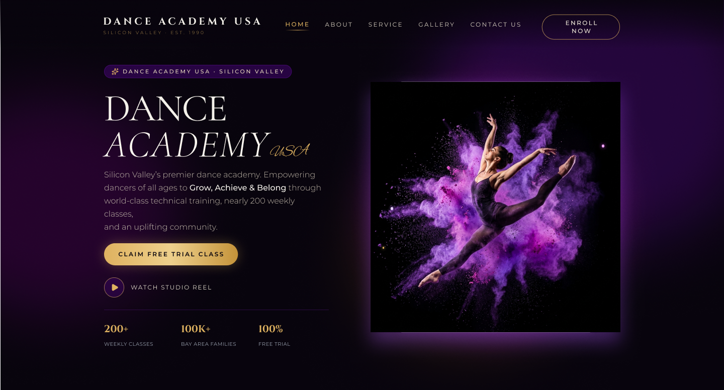 Dance Academy Website, Websites