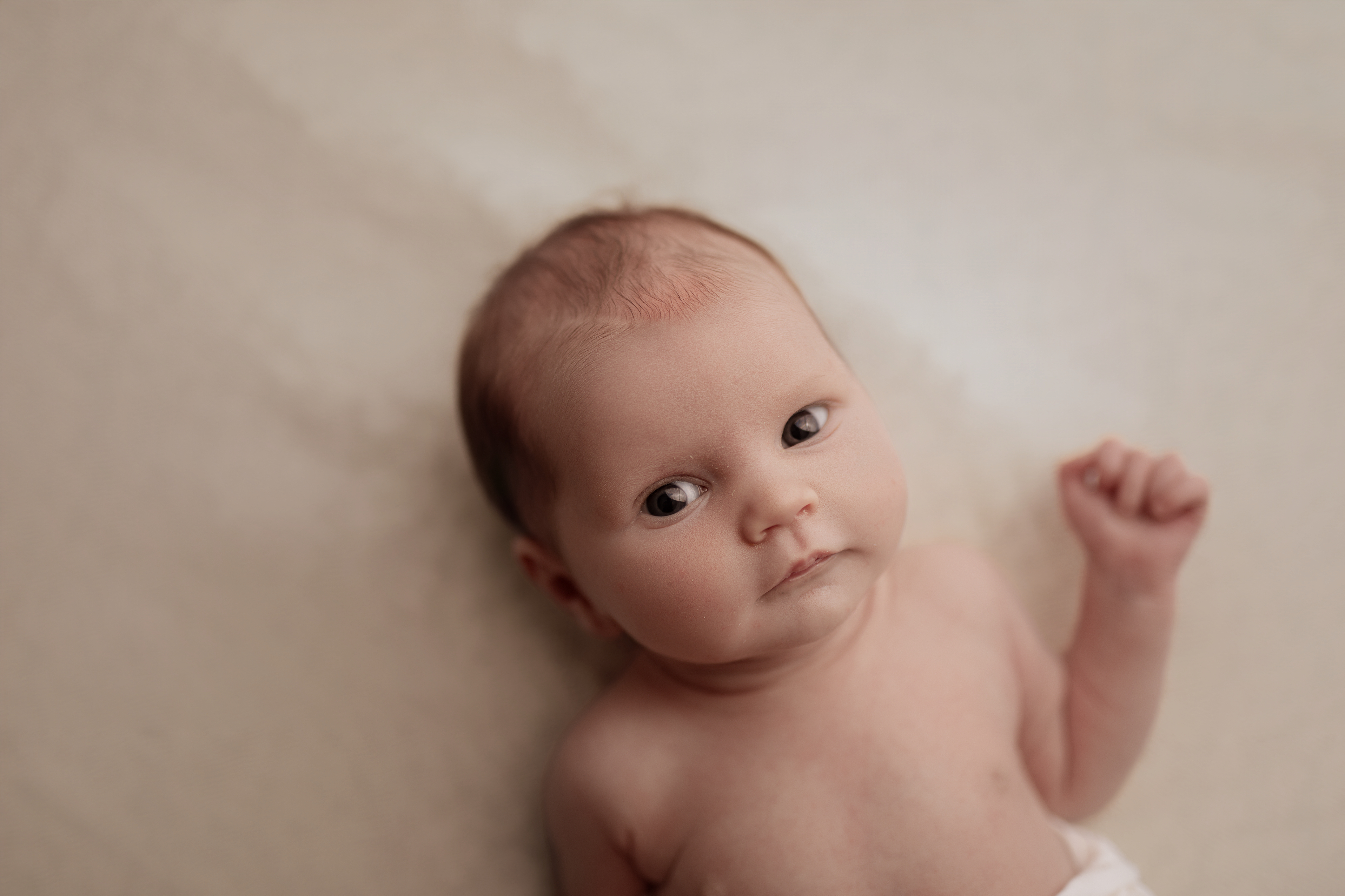 Newborn session - Bethany E. Birth Co.
